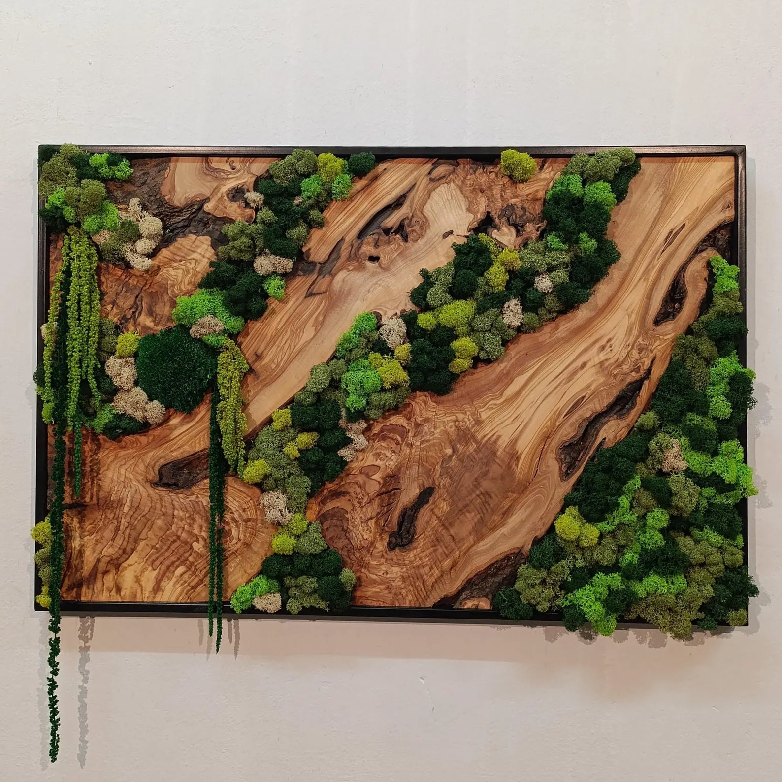 Moss and Wood Wall Art – Rustic Natural Decor for Home & Office