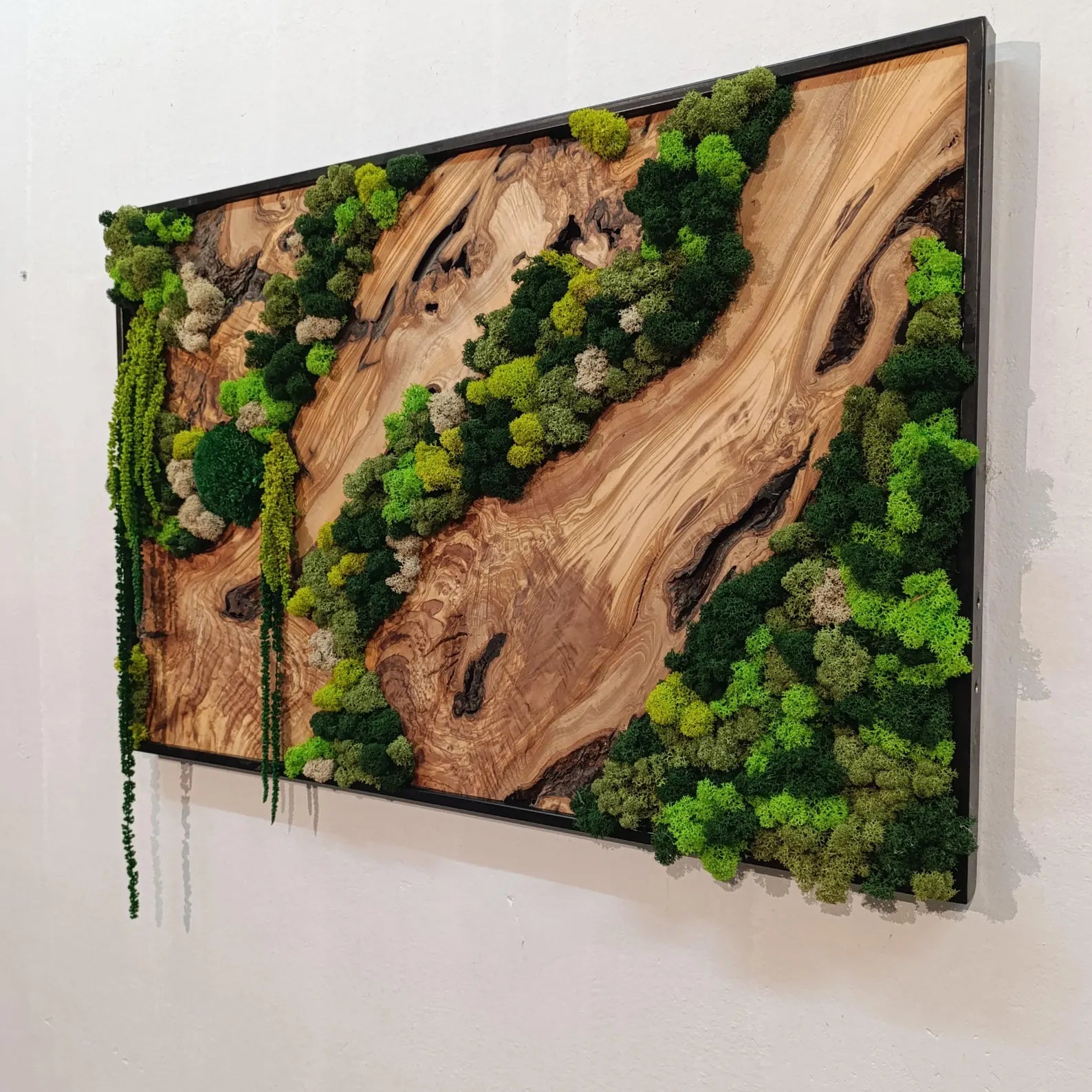 Moss and Wood Wall Art – Rustic Natural Decor for Home & Office
