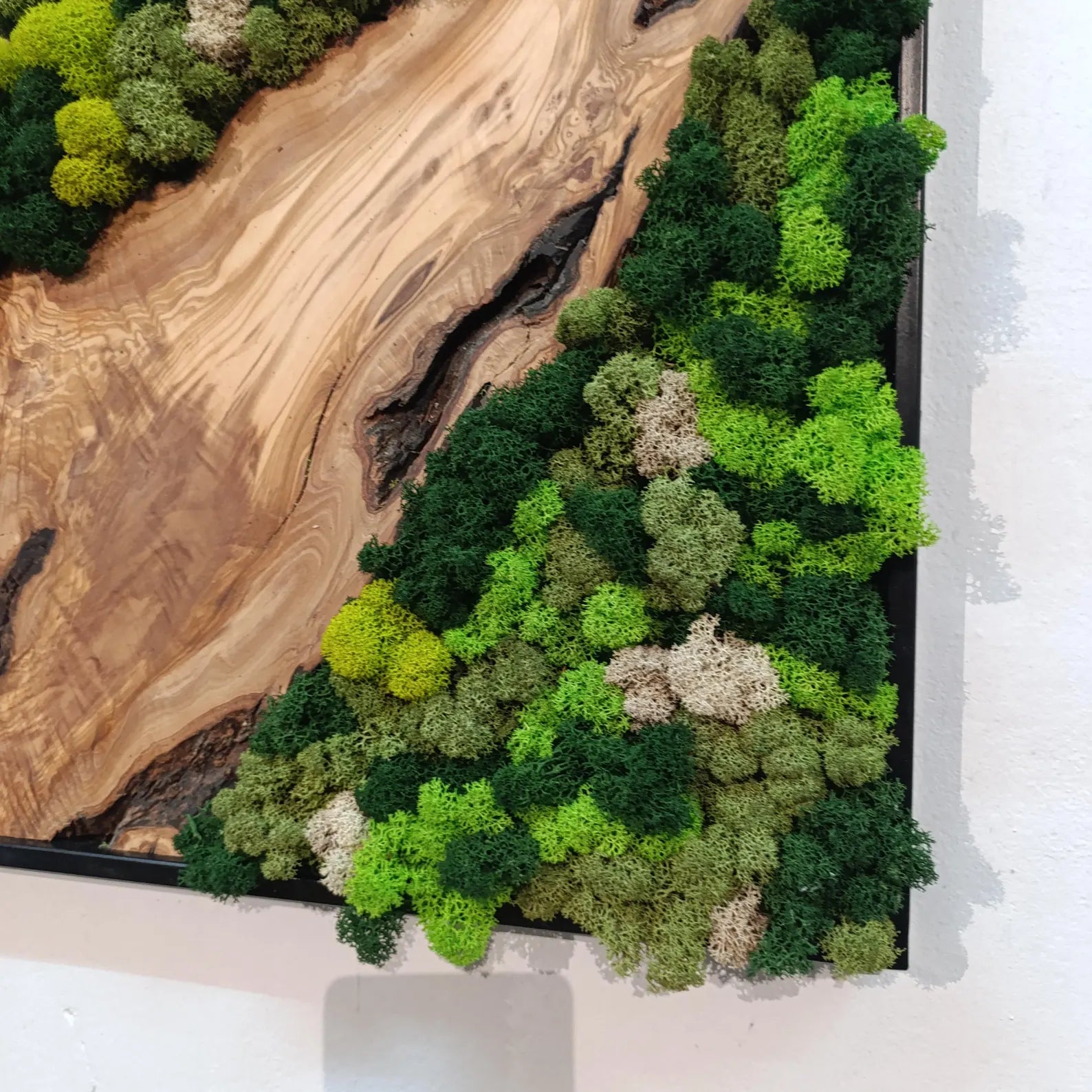 Moss and Wood Wall Art – Rustic Natural Decor for Home & Office