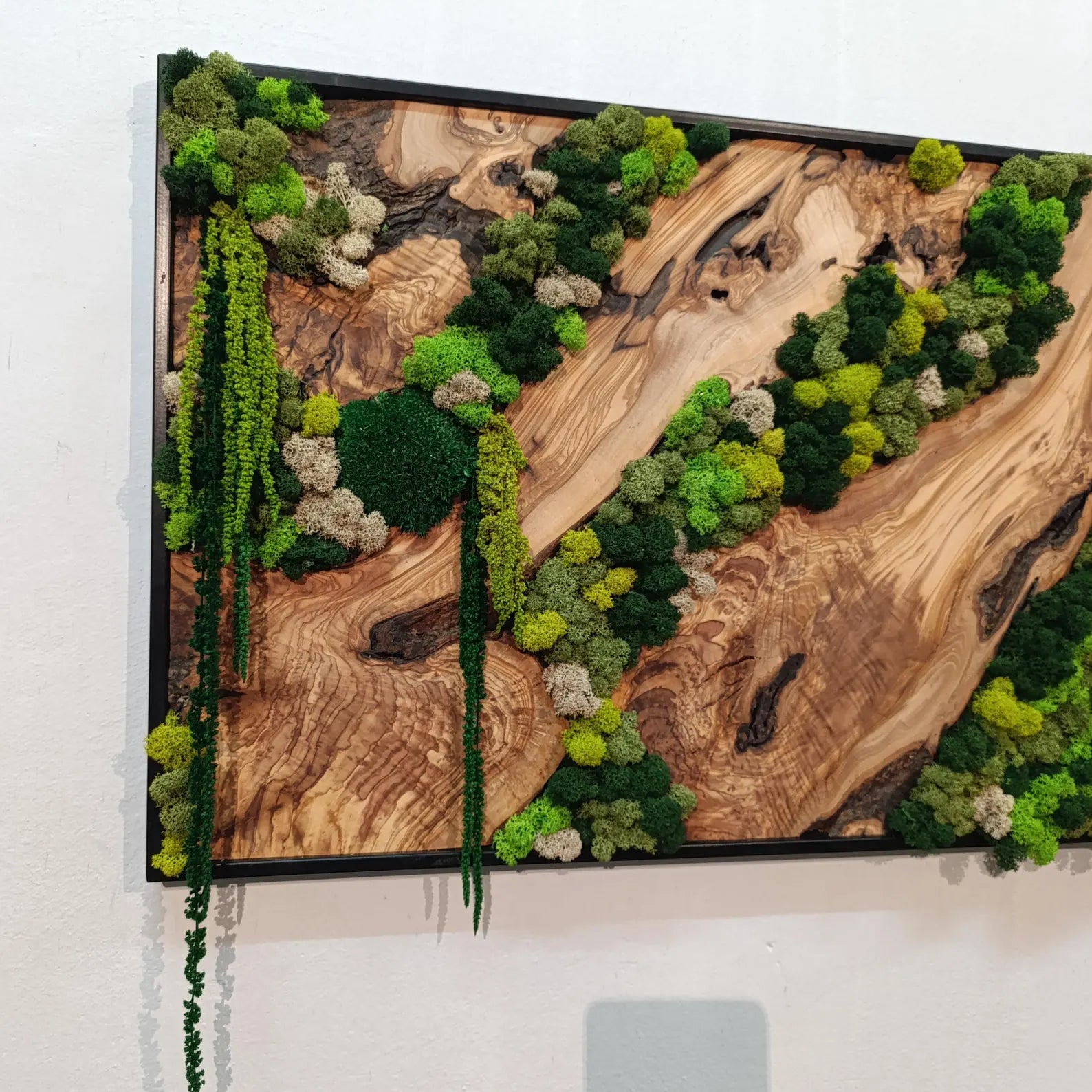 Moss and Wood Wall Art – Rustic Natural Decor for Home & Office