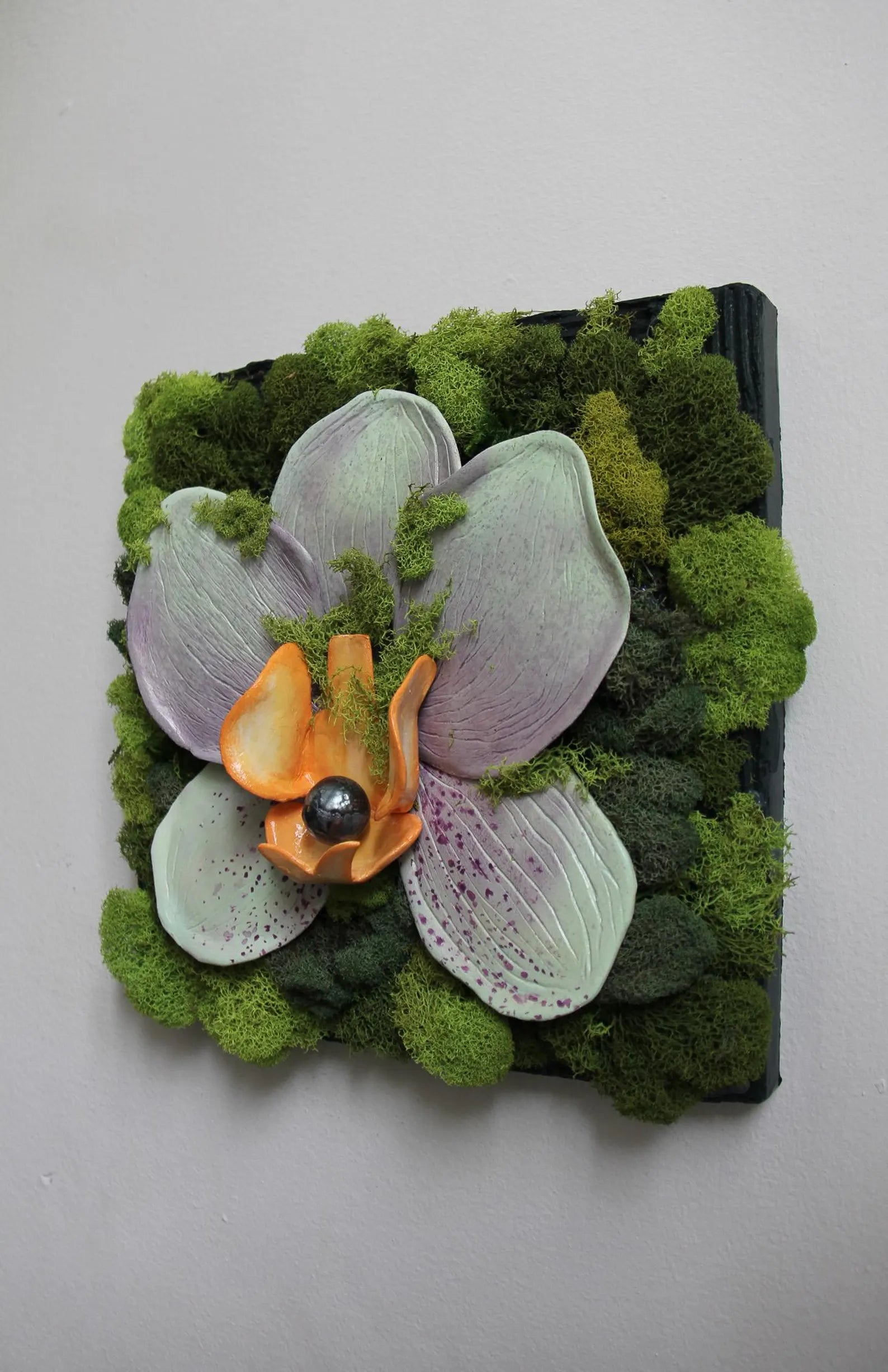 Clay Orchid & Moss Wall Art | Preserved Garden Décor 10”