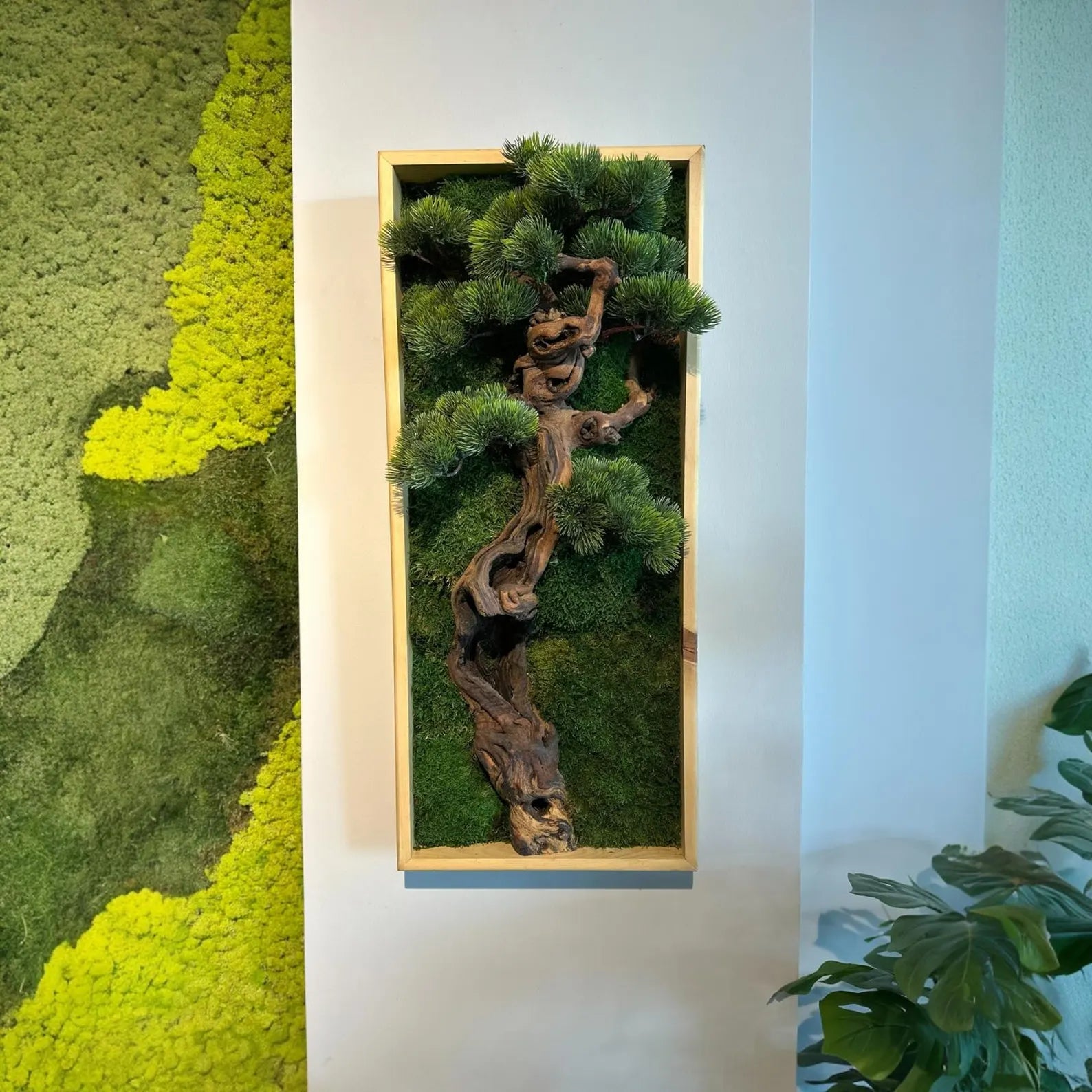 Bonsai Moss Wall Art – Preserved Wooden Frame Decor for Home & Housewarming Gifts