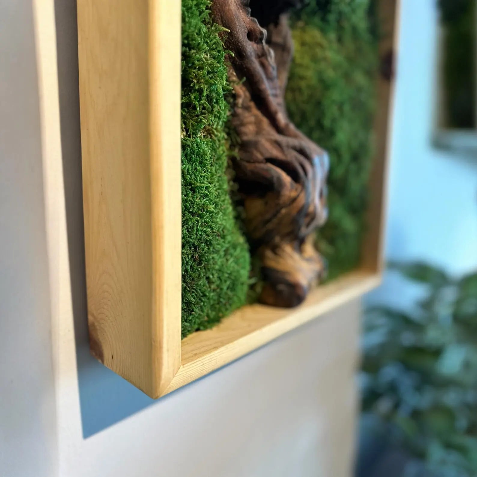 Bonsai Moss Wall Art – Preserved Wooden Frame Decor for Home & Housewarming Gifts