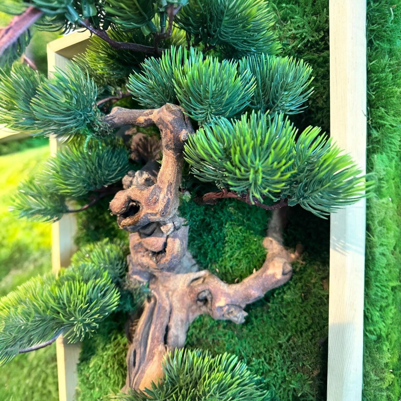 Bonsai Moss Wall Art – Preserved Wooden Frame Decor for Home & Housewarming Gifts