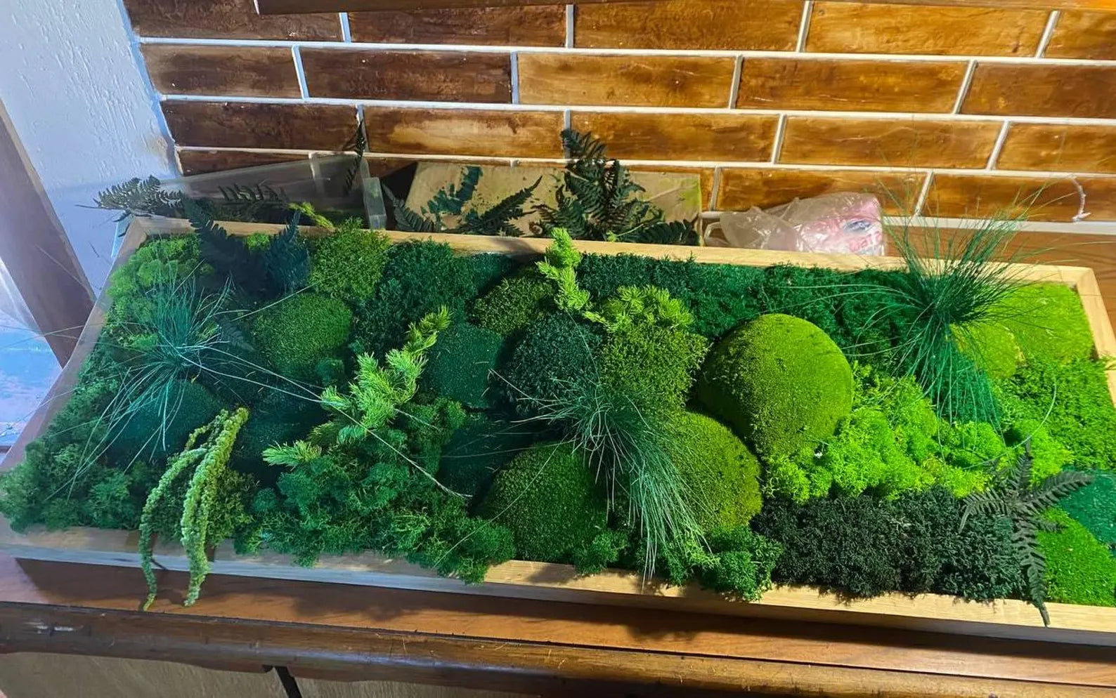Moss Wall Art – Preserved Green Moss in Wooden Frame | Luxury Living Wall Decor