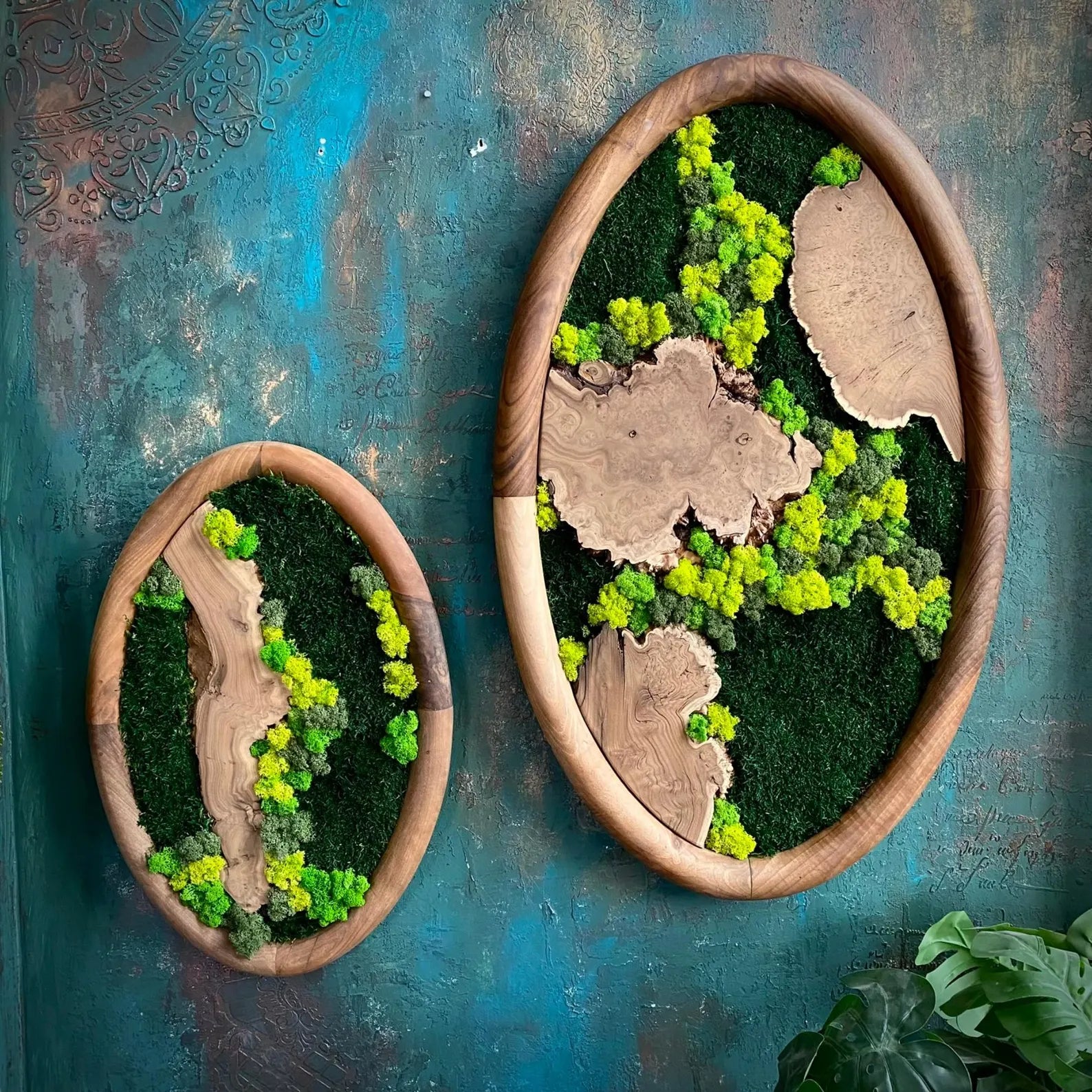 Walnut-Framed Oval Moss Art Set – Olive and Silverberry Wood Wall Decor, Nature-Inspired Home Gift