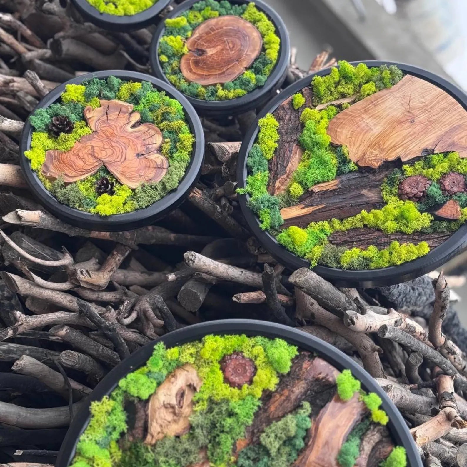 Circle Moss Wall Art: Unique Preserved Moss & Olive Wood Decor