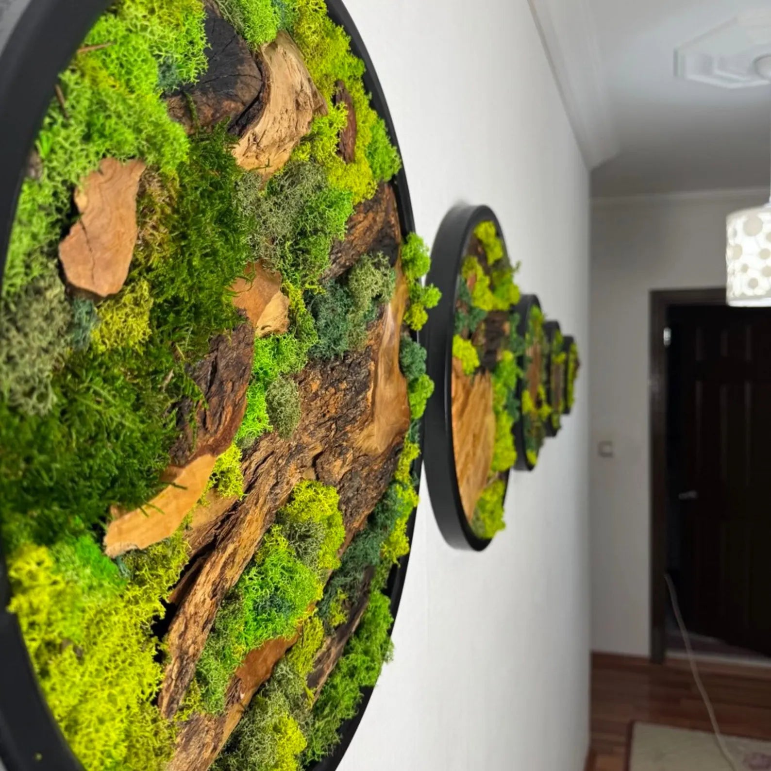 Moss and Wood Wall Art – Round Olive Wood Frame Set of 5 | Green Nature-Inspired Decor