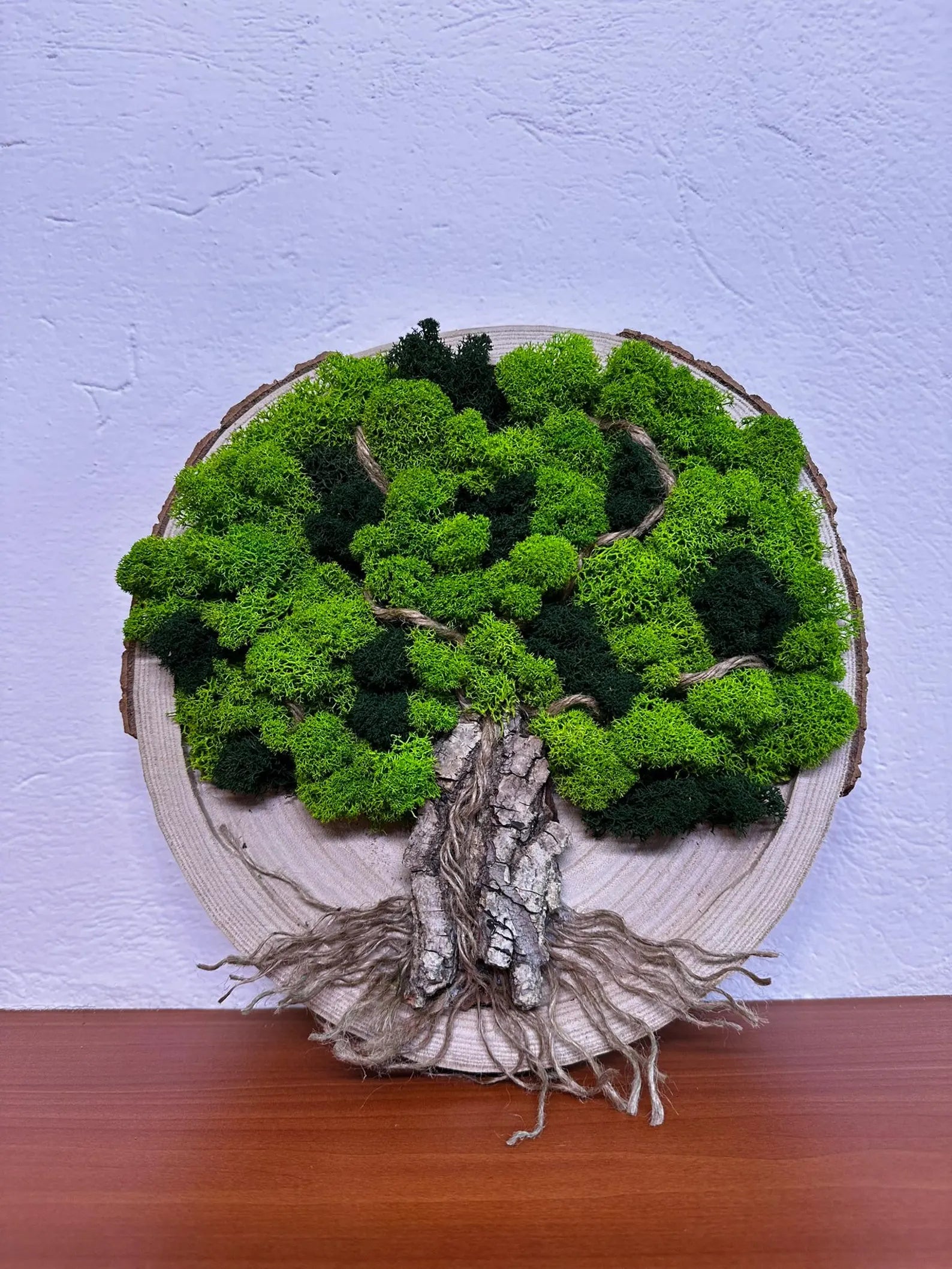 Tree of Life Moss Frame – Natural Wall Decor for Living Space