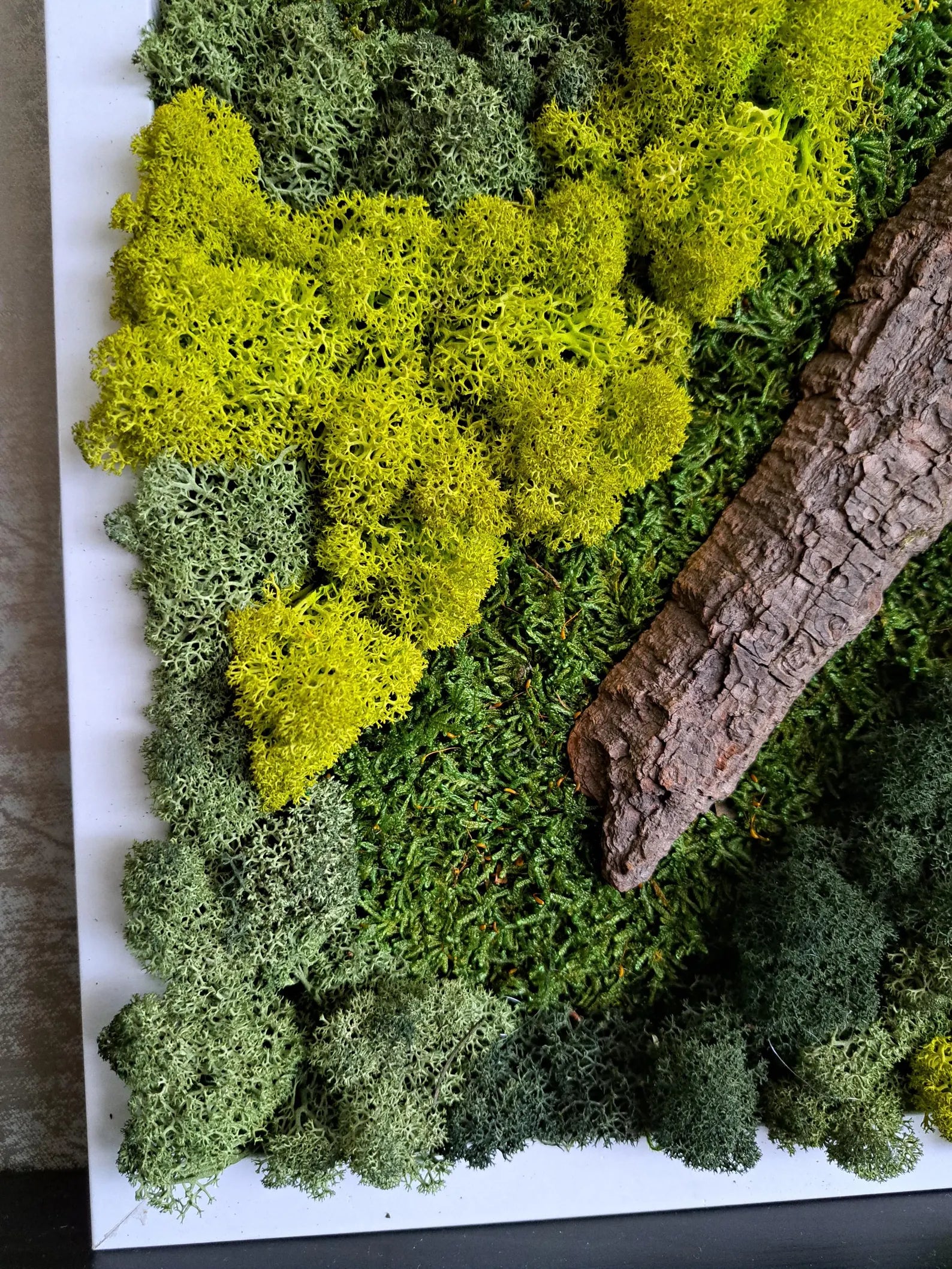 Green Wall Art – Preserved Moss Wall Art Installation for Modern Home Decor