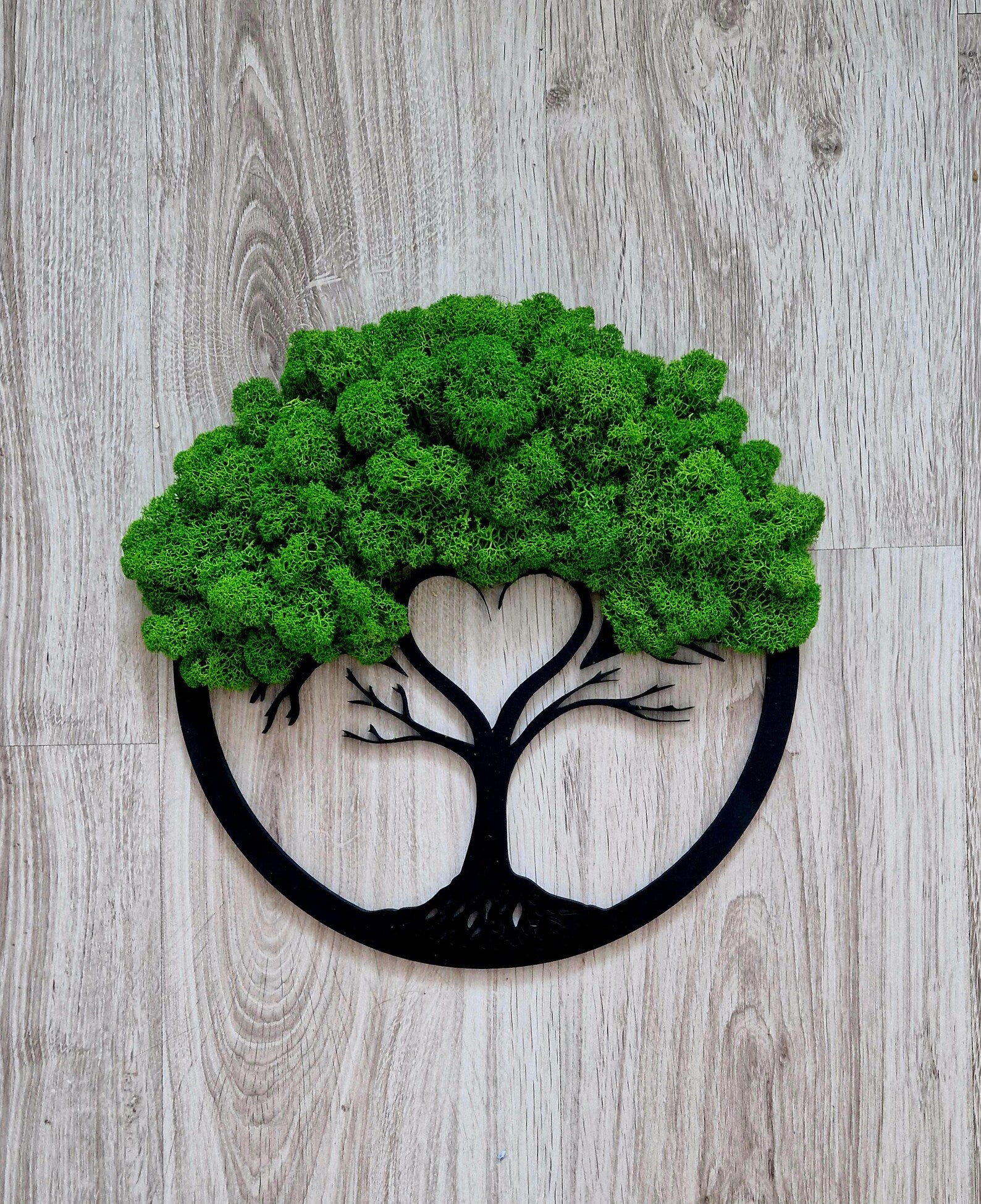 Premium Bonsai Tree Art – Round Preserved Reindeer Moss Wall Decor for Elegant Home Spaces