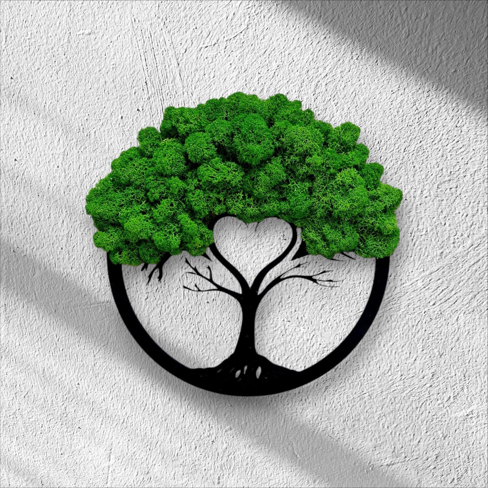 Premium Bonsai Tree Art – Round Preserved Reindeer Moss Wall Decor for Elegant Home Spaces