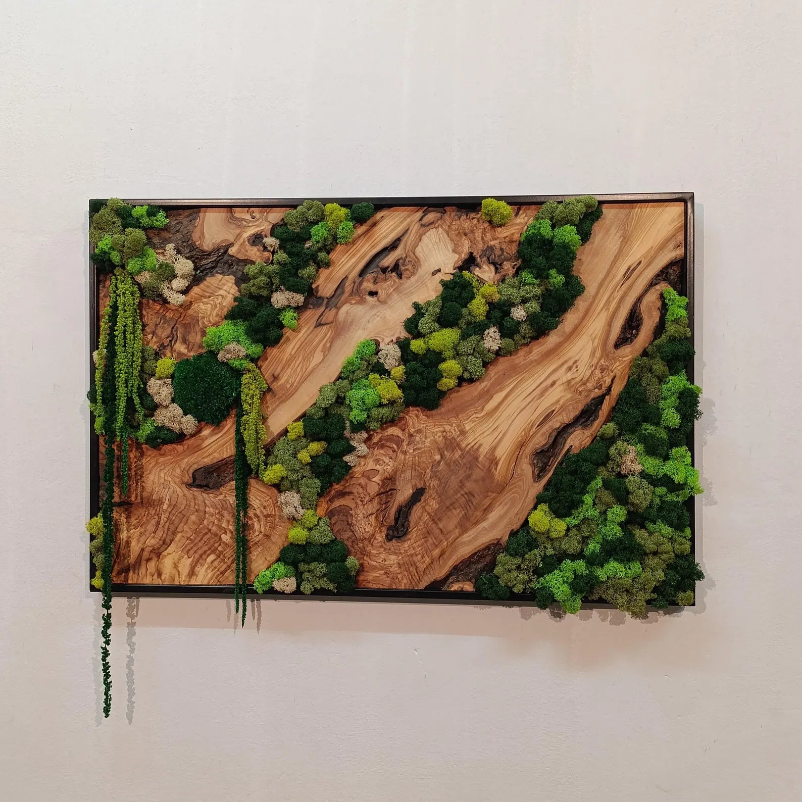 Moss and Wood Wall Art – Rustic Natural Decor for Home & Office