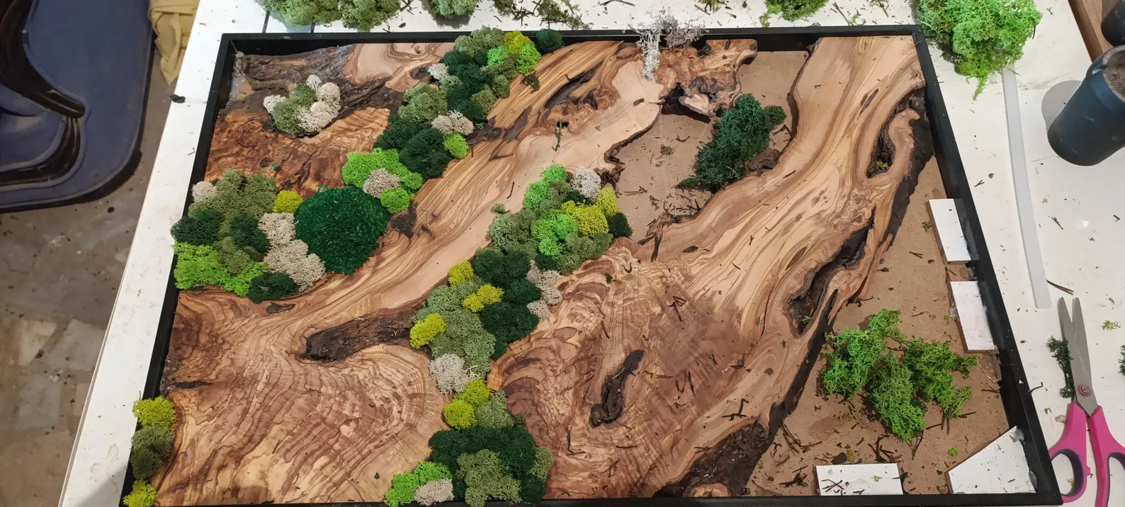 Moss and Wood Wall Art – Rustic Natural Decor for Home & Office