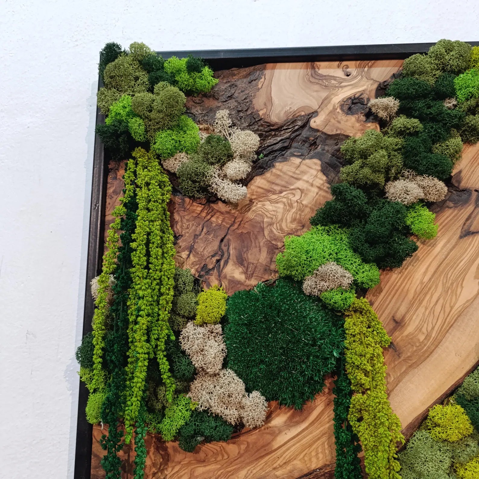 Moss and Wood Wall Art – Rustic Natural Decor for Home & Office