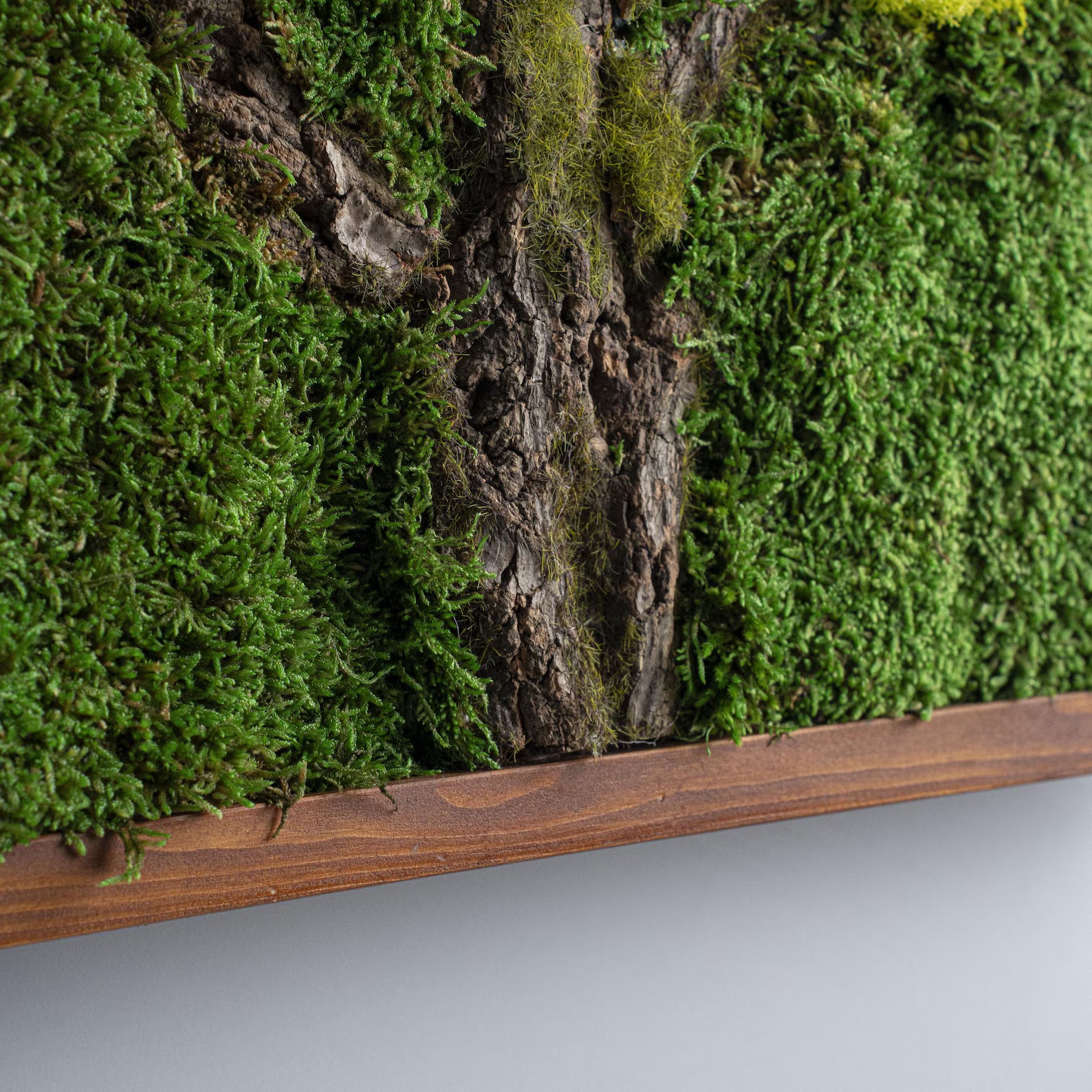 Tree Bark Moss Wall Art – Preserved Stabilized Moss Decor, Rustic Farmhouse Wood Wall Art, Living Room Greenery Decoration