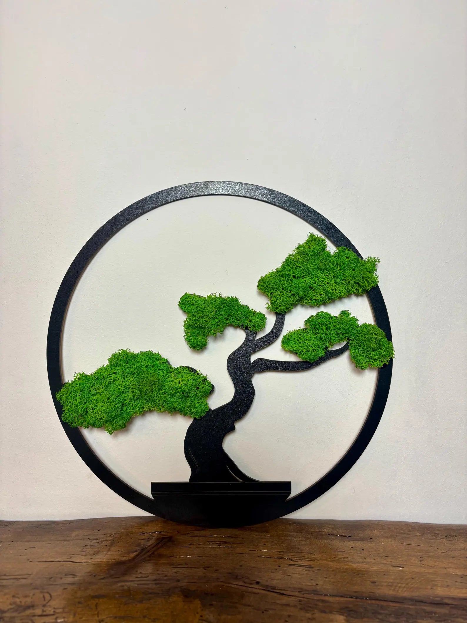 Handmade Moss Bonsai Tree – Natural Zen Wall Decor