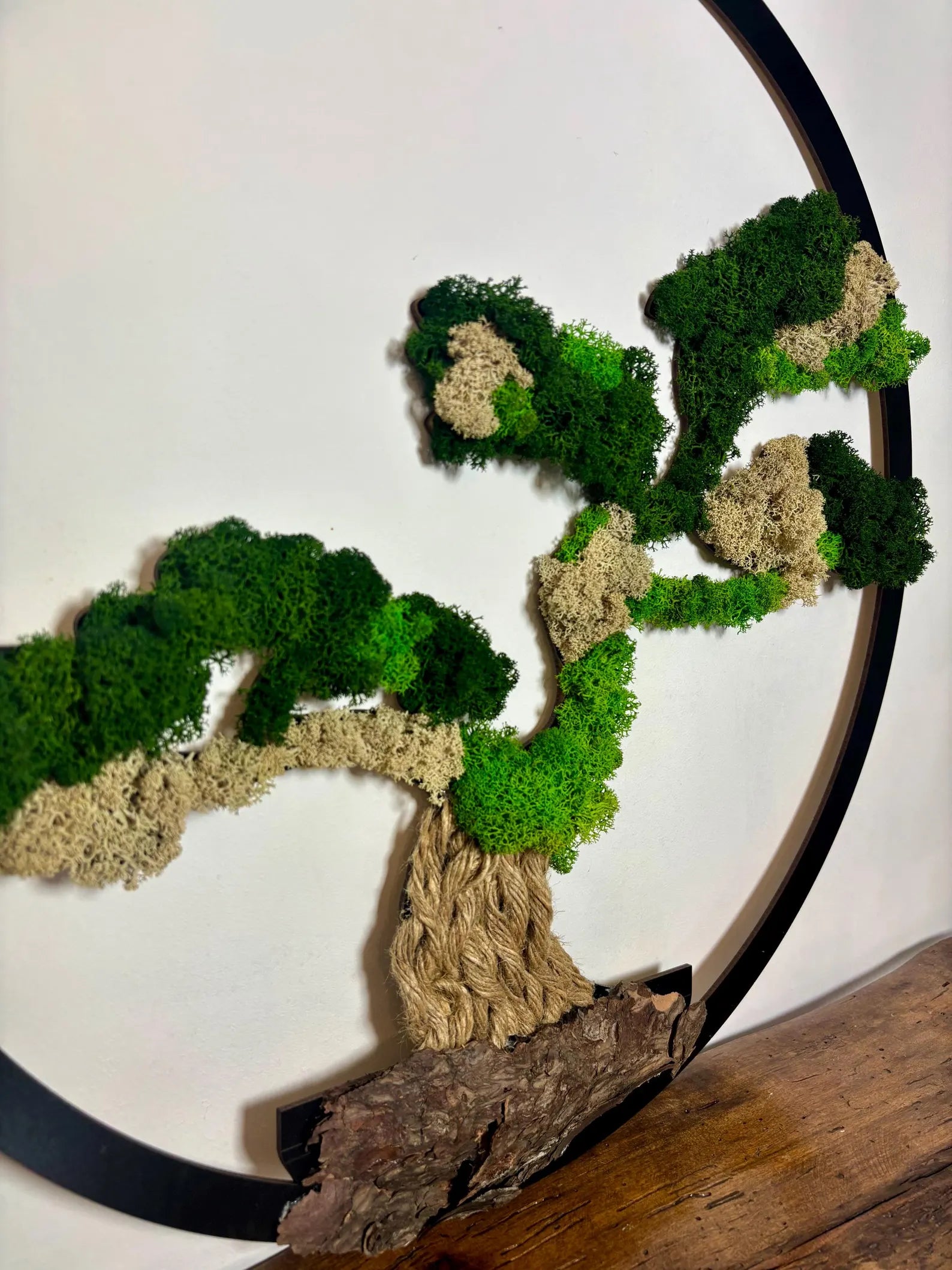 Handmade Moss Bonsai Tree – Natural Zen Wall Decor