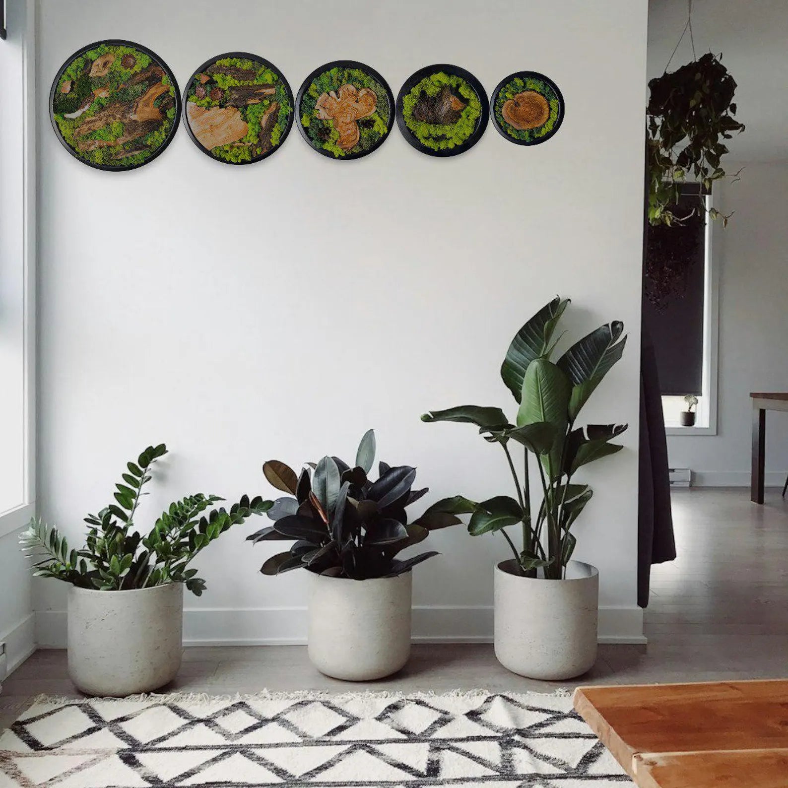 Moss and Wood Wall Art – Round Olive Wood Frame Set of 5 | Green Nature-Inspired Decor