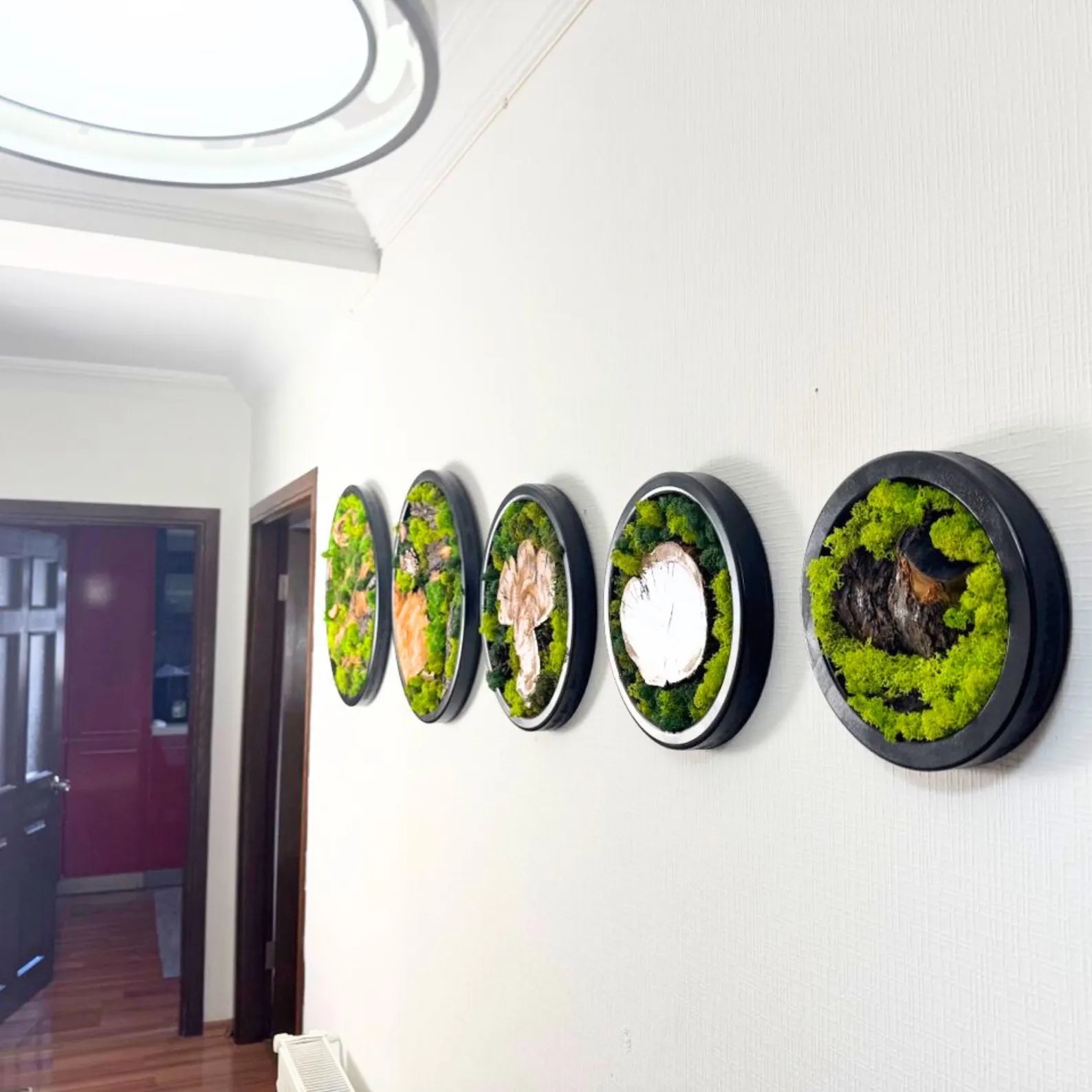 Moss and Wood Wall Art – Round Olive Wood Frame Set of 5 | Green Nature-Inspired Decor