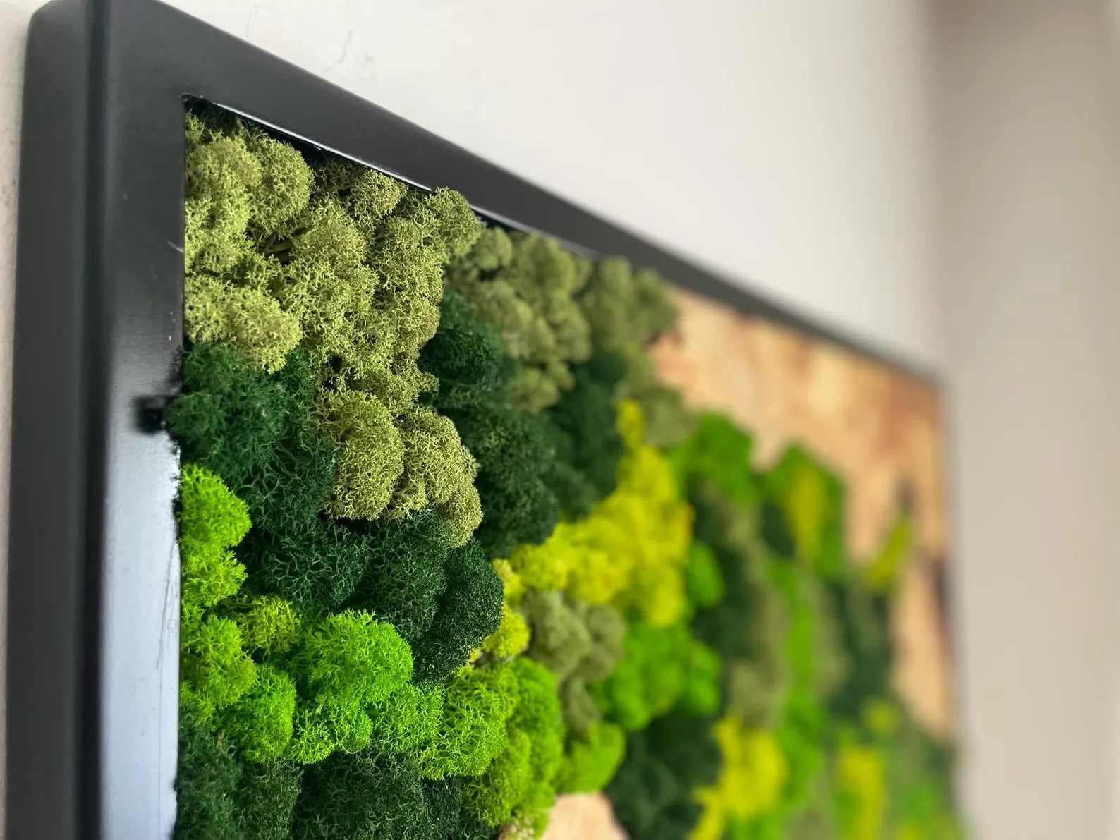 Handcrafted Olive Wood and Moss Wall Art – Natural Wall Decor for Home or Office