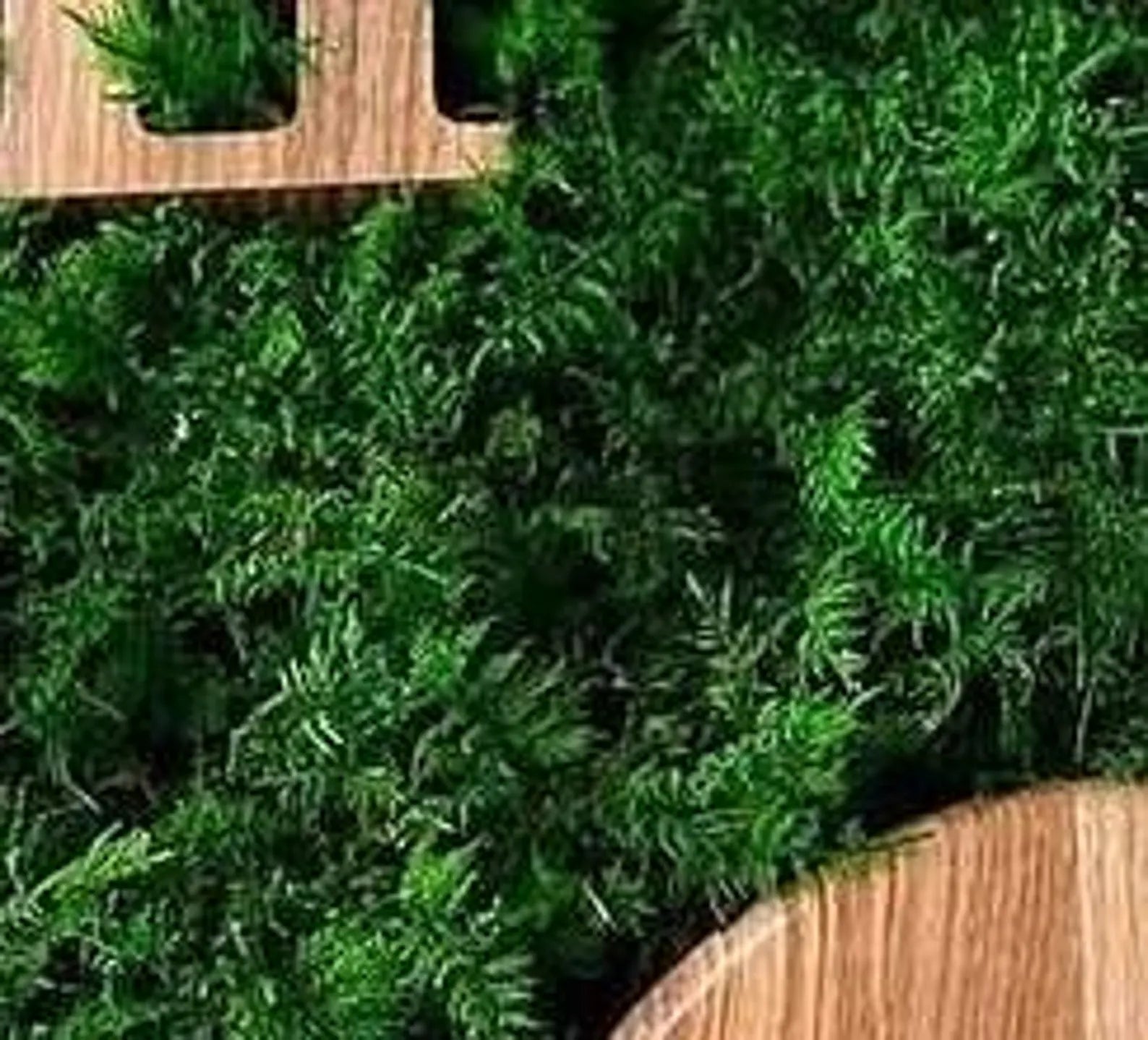 Unique Moss Wall Clock – Preserved Moss & Sky Blue Epoxy Ocean Art