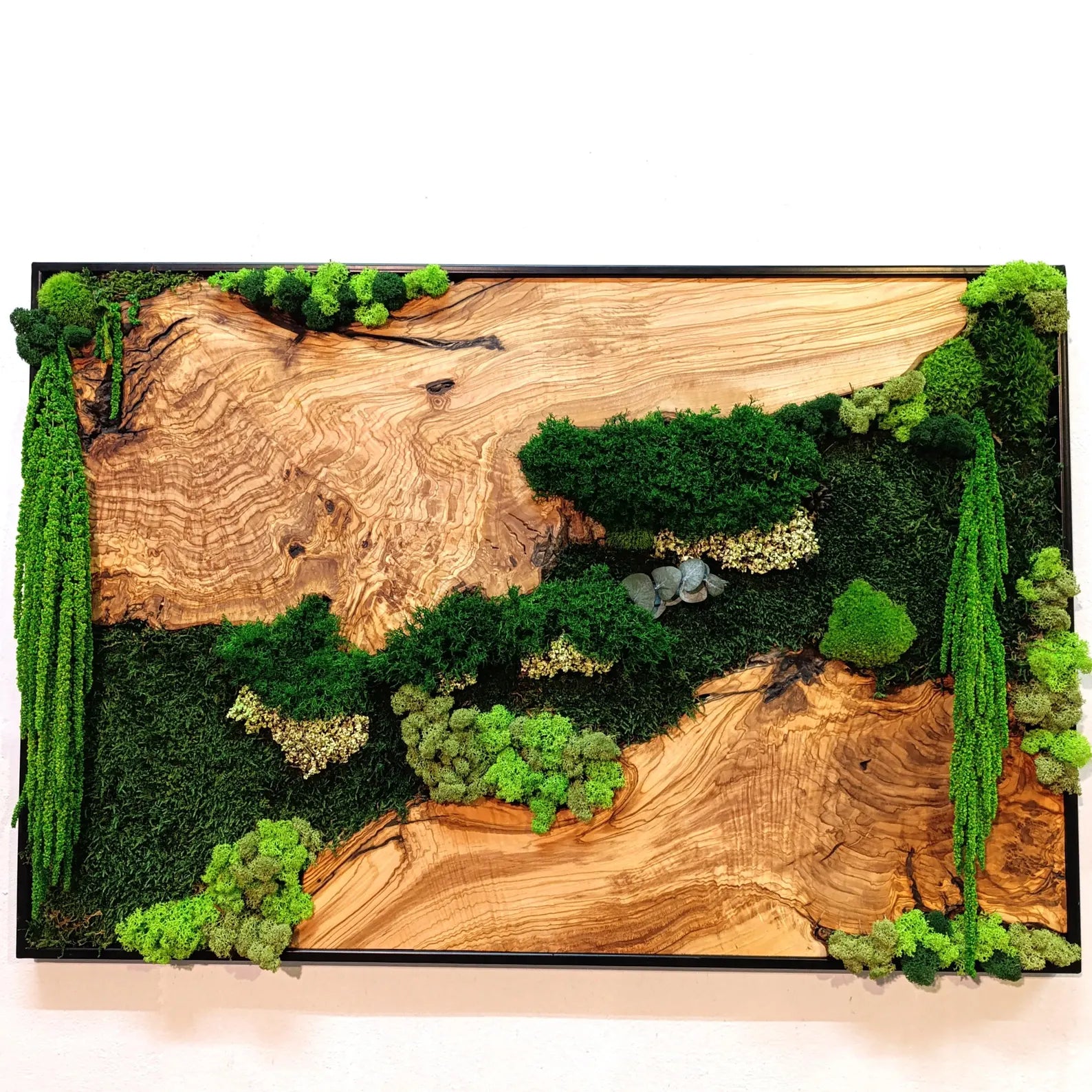 Moss and Wood Wall Art – Rustic Olive Wood Frame | Greenery Decor for Home & Office