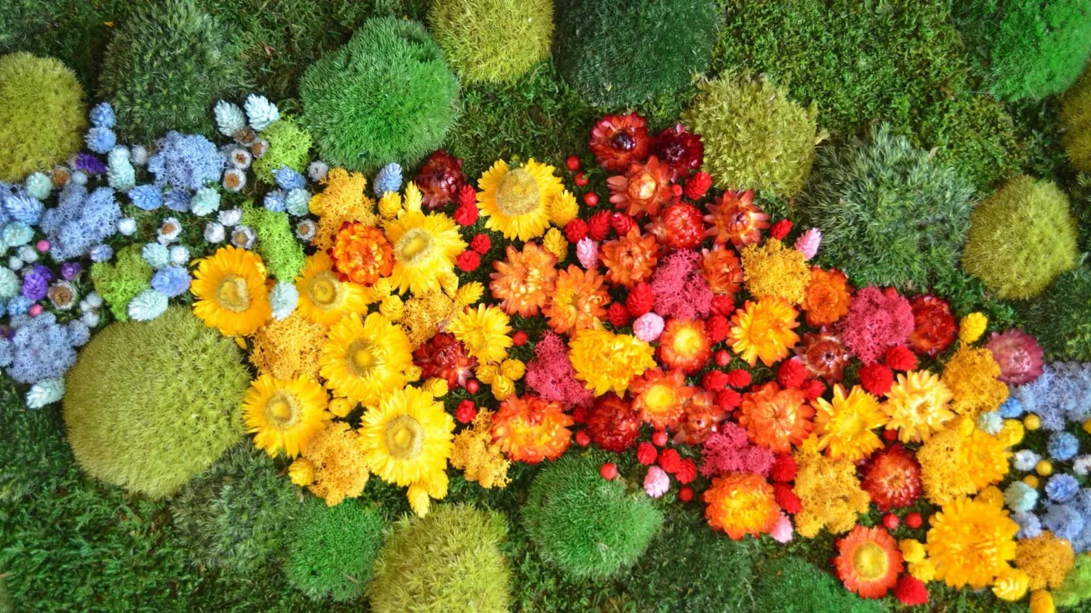 Multi-Toned Floral Moss Wall Art – Preserved Moss & Dried Flower Frame Décor