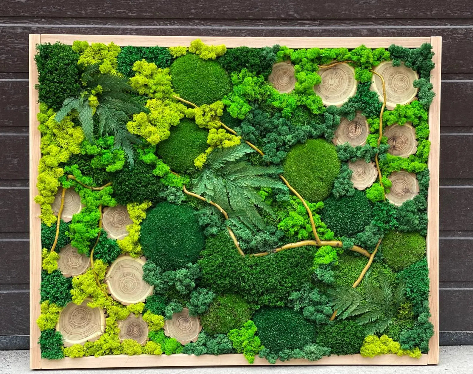 Moss Frame Wall Art – Preserved Green Moss Picture for Eco-Friendly Home Decor