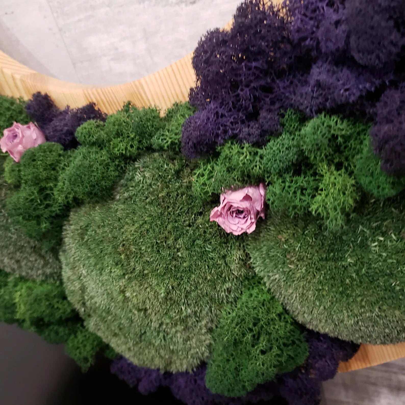 Round Live Moss and Rose Wall Art – Unique Handmade Decor on Natural Wood Base (540x540mm) – No Tariffs USA