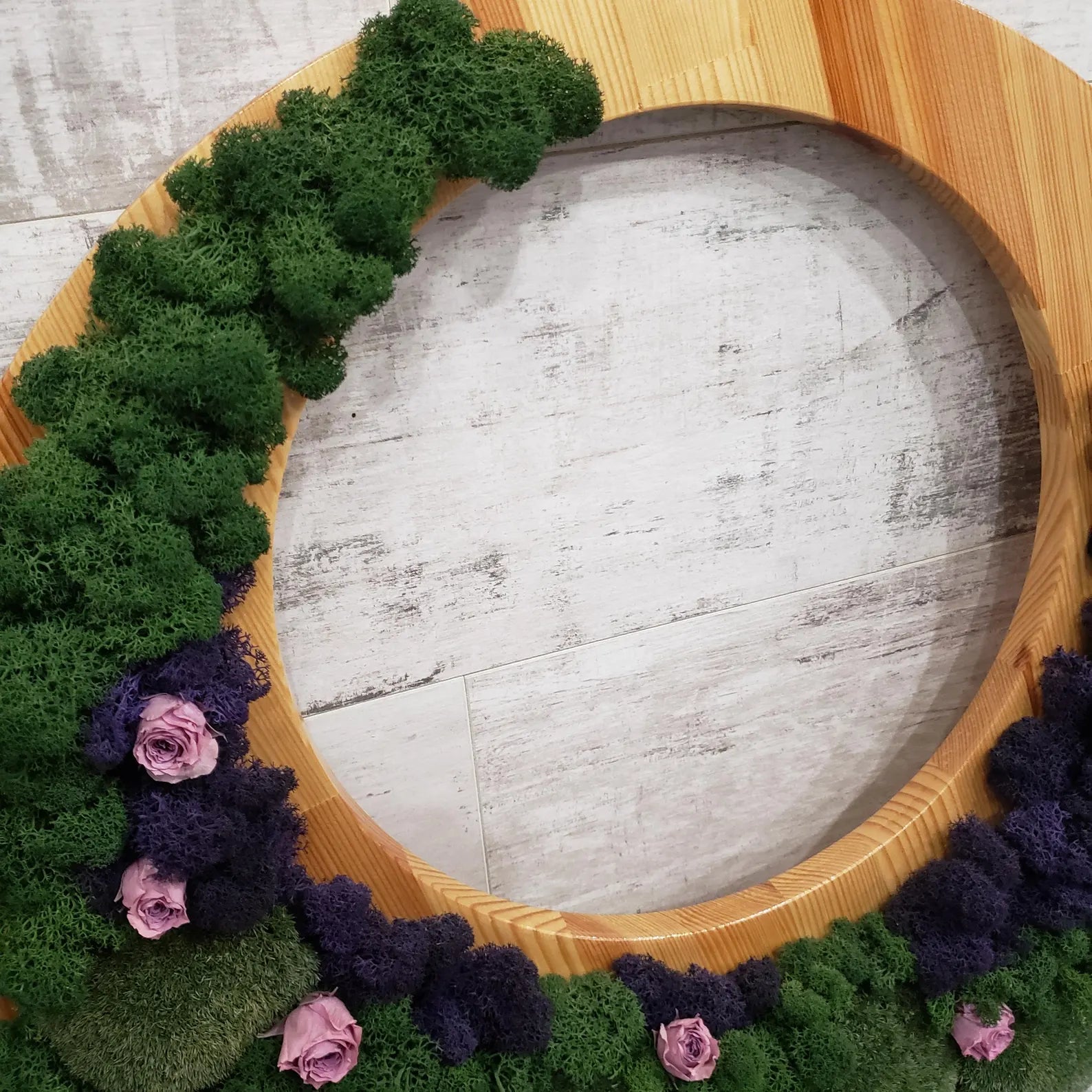 Round Live Moss and Rose Wall Art – Unique Handmade Decor on Natural Wood Base (540x540mm) – No Tariffs USA