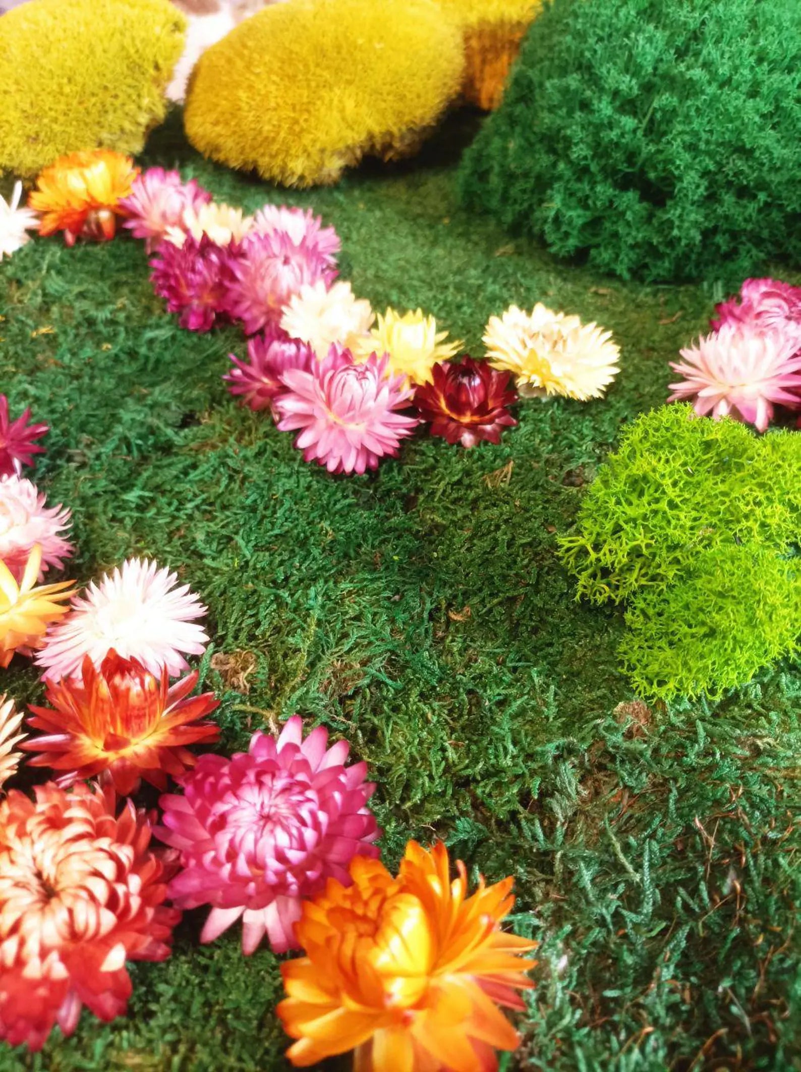 Round Moss Wall Art with Dried Flowers & Wood – Handmade Eco-Friendly Home Decor