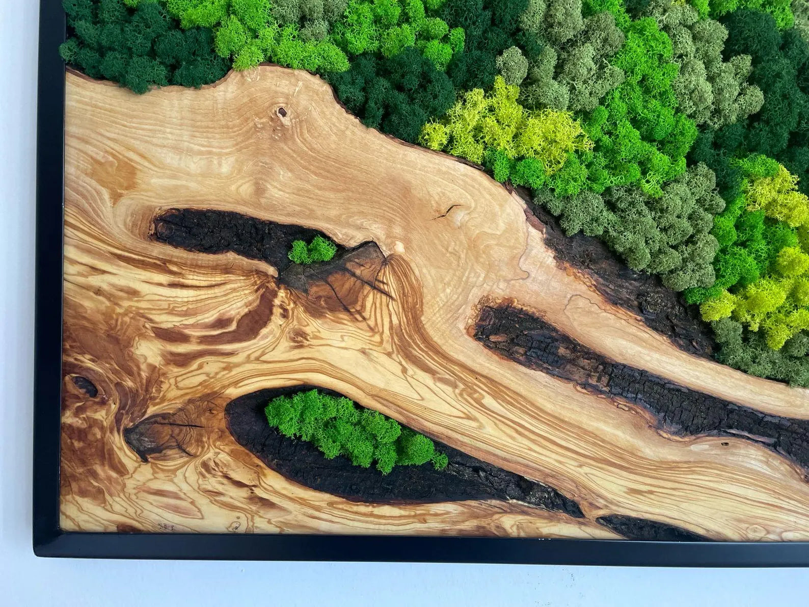 Handcrafted Olive Wood and Moss Wall Art – Natural Wall Decor for Home or Office