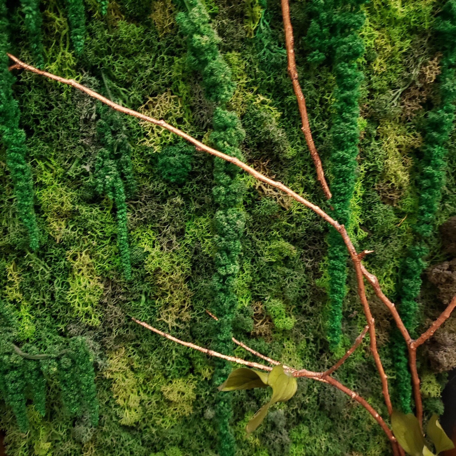 Moss Art Wall Decor – Natural Preserved Moss with Aluminum Frame