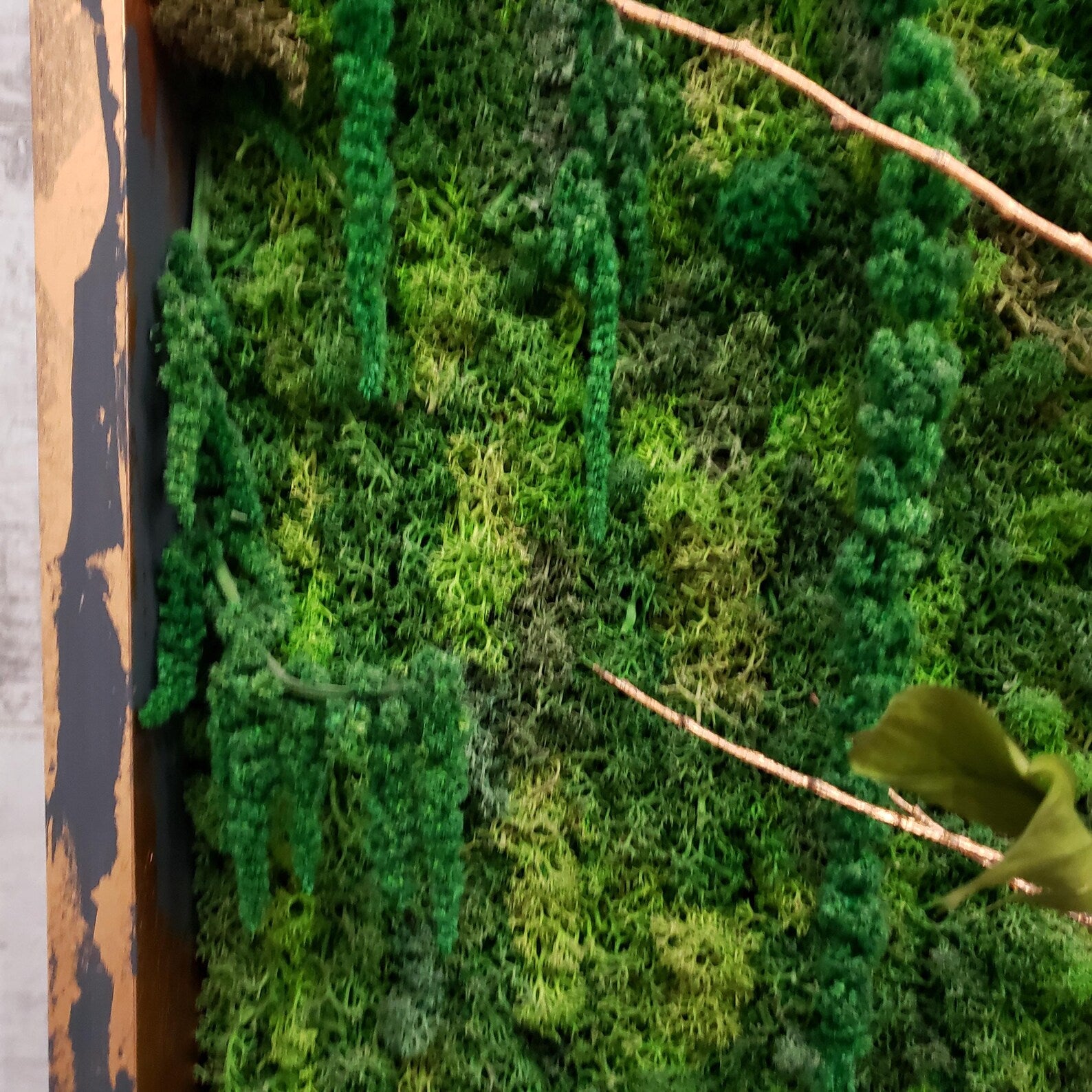 Moss Art Wall Decor – Natural Preserved Moss with Aluminum Frame