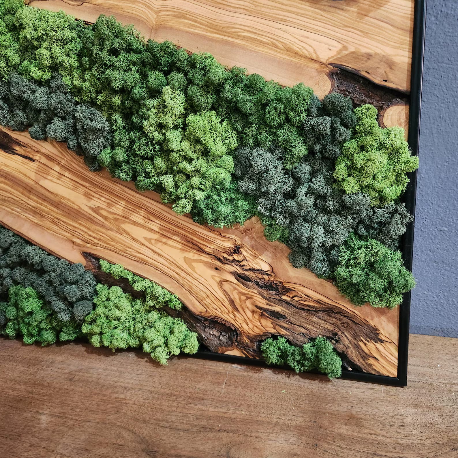 Moss & Wood Wall Art – Olive Wood and Preserved Moss Wall Decor, Rustic Greenery Wall Accent for Home, Office, or Hotel Lobby
