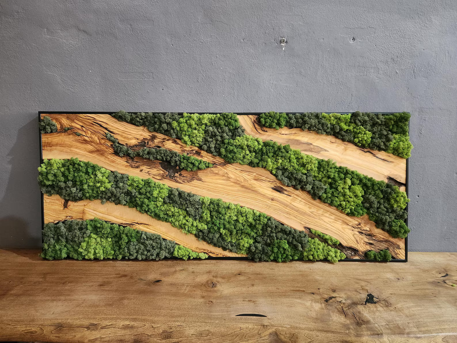 Moss & Wood Wall Art – Olive Wood and Preserved Moss Wall Decor, Rustic Greenery Wall Accent for Home, Office, or Hotel Lobby