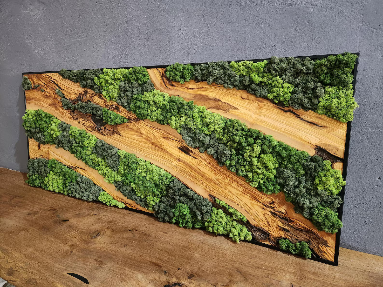 Moss & Wood Wall Art – Olive Wood and Preserved Moss Wall Decor, Rustic Greenery Wall Accent for Home, Office, or Hotel Lobby