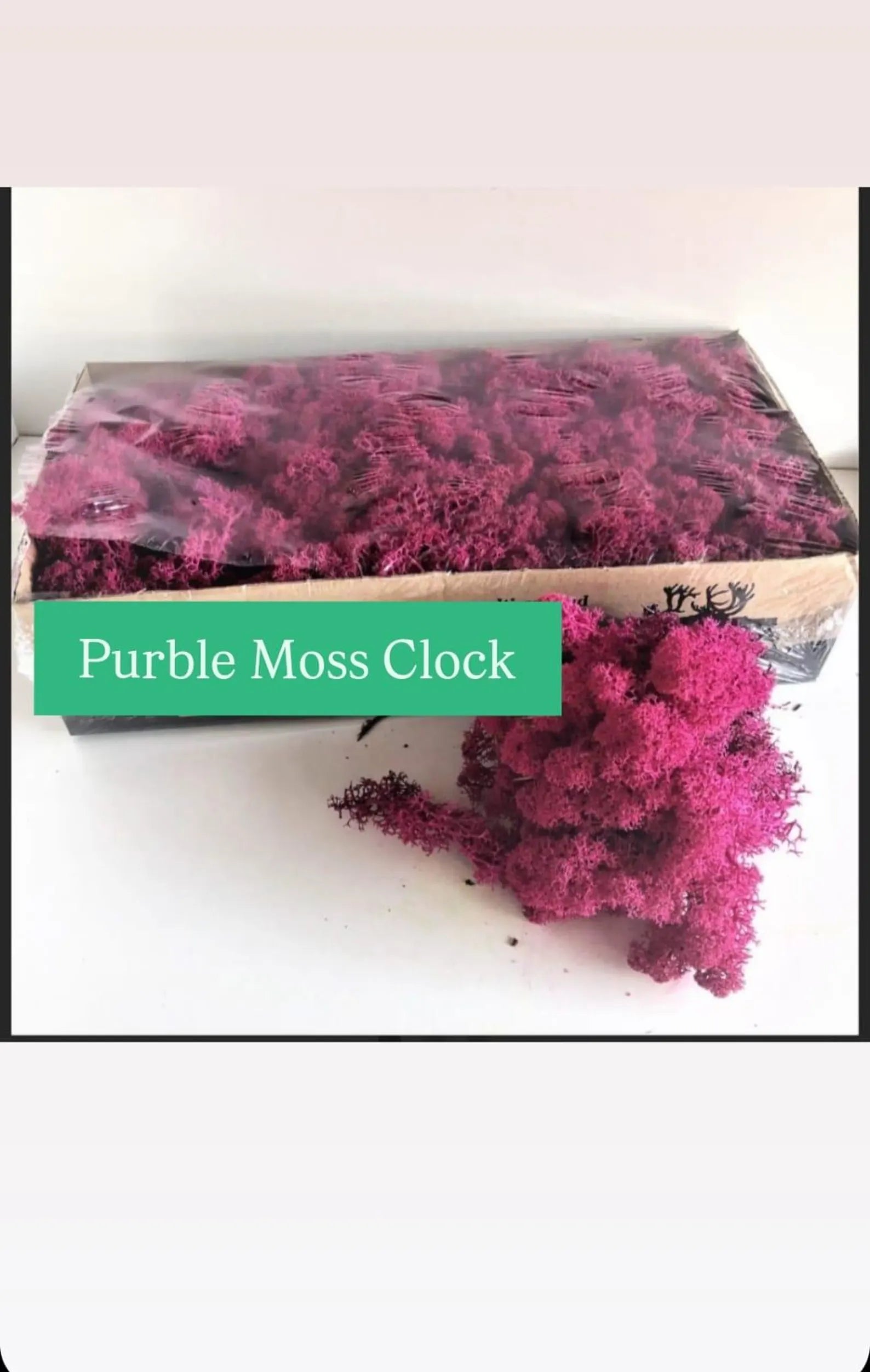 Large Moss Wall Clock – Preserved Moss & Epoxy Wood Art, Unique Home Decor Gift