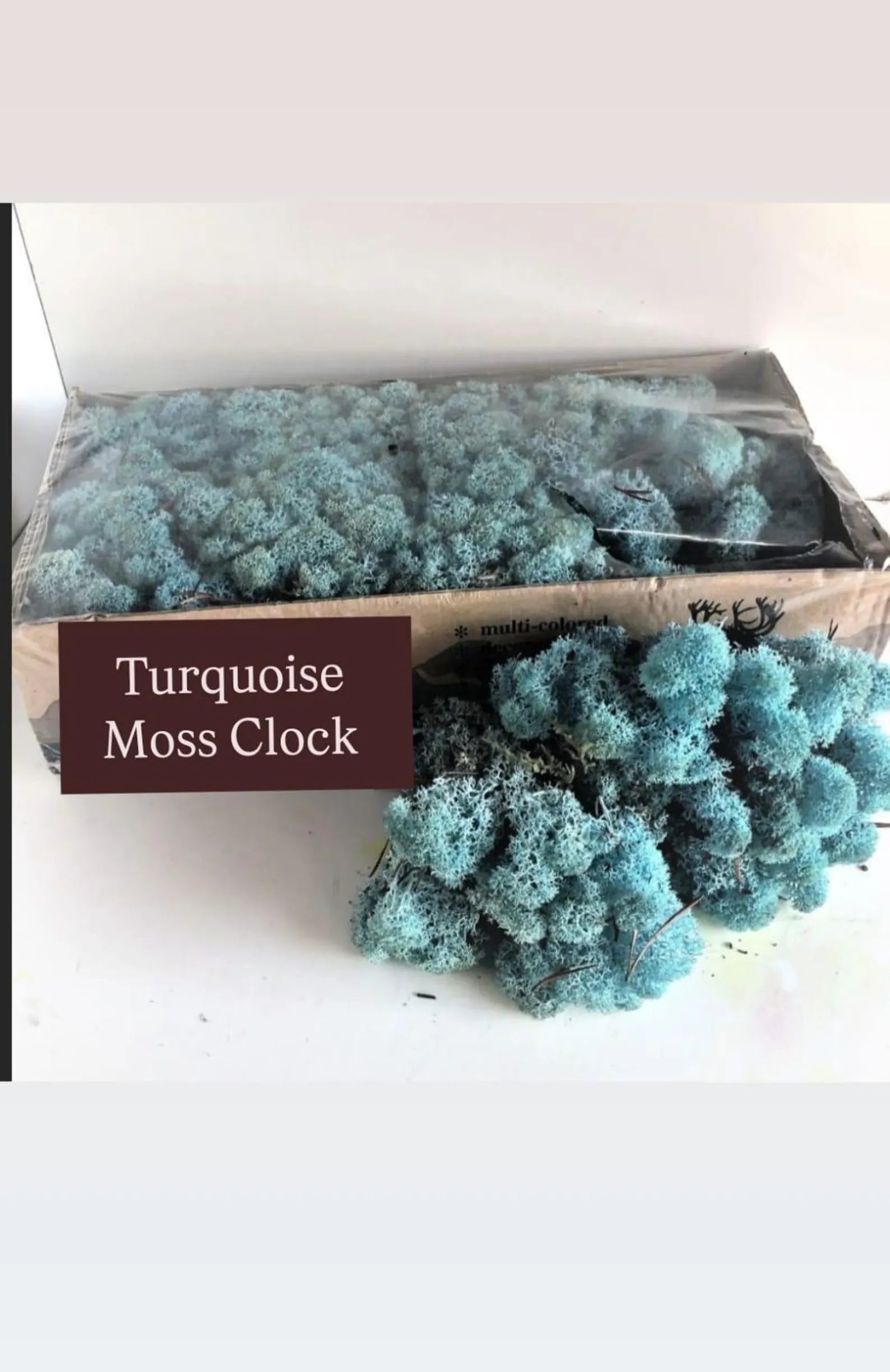 Large Moss Wall Clock – Preserved Moss & Epoxy Wood Art, Unique Home Decor Gift