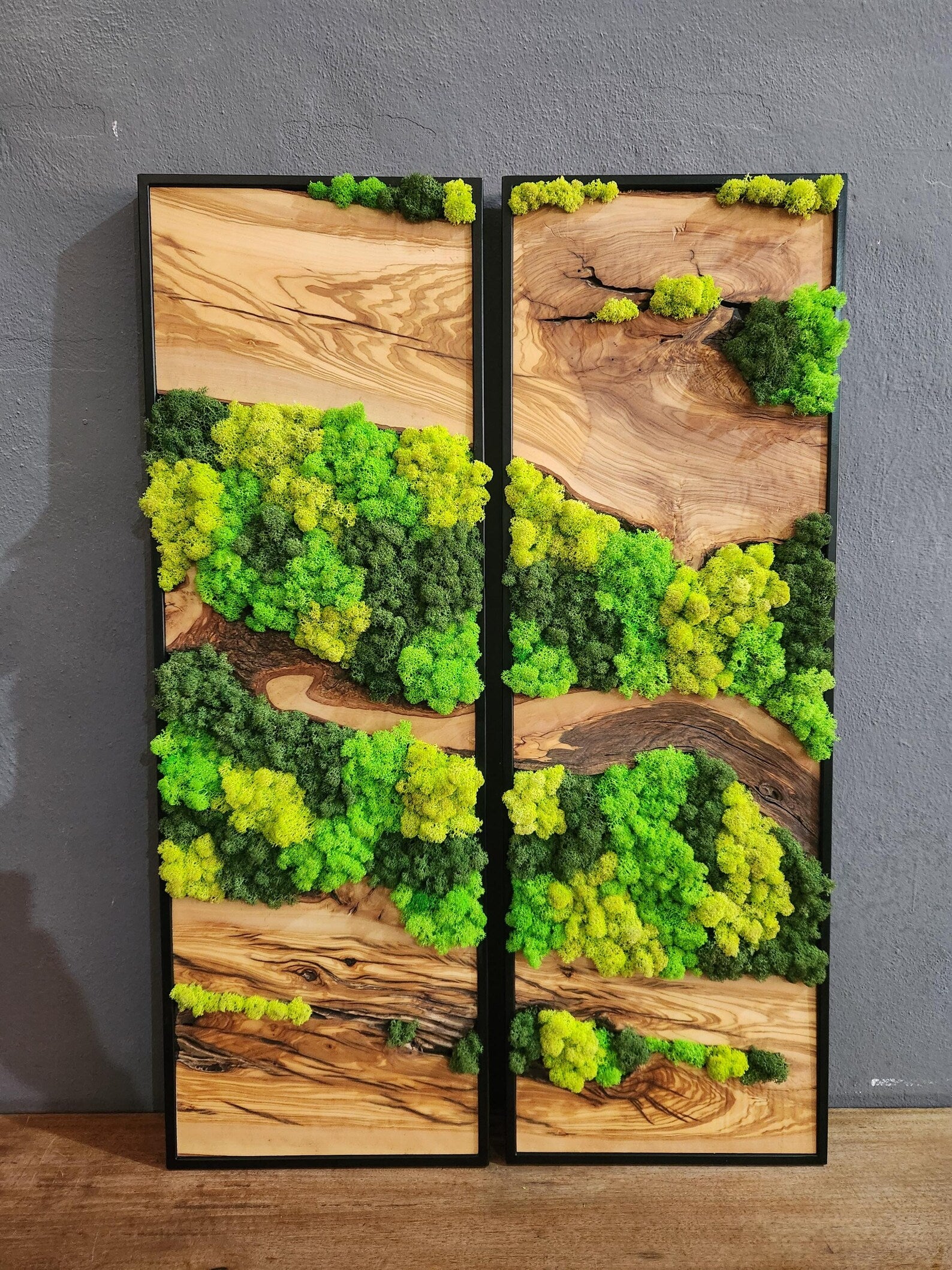 Olive Wood & Preserved Moss Wall Art – Unique Botanical Nature-Inspired Decor