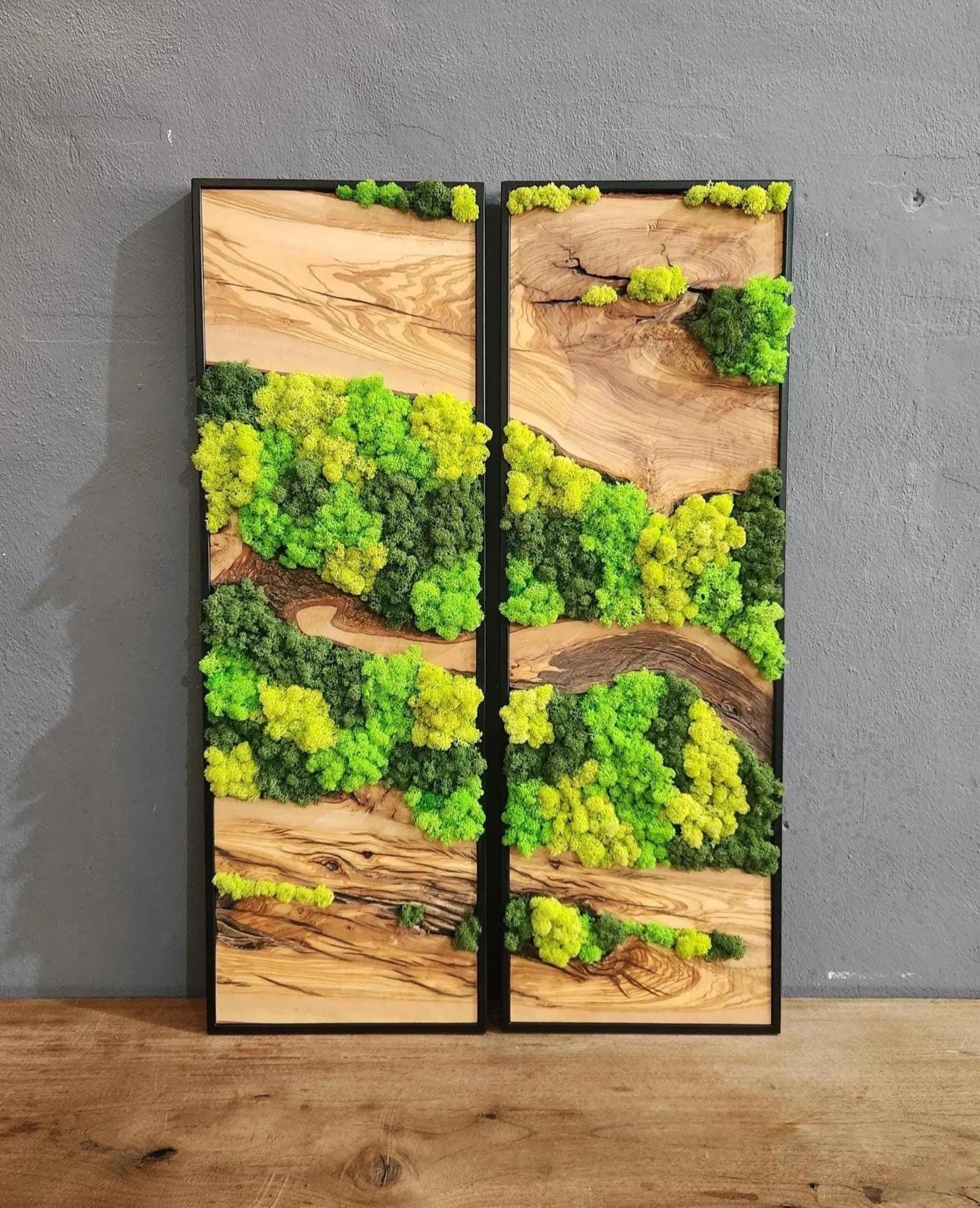 Olive Wood & Preserved Moss Wall Art – Unique Botanical Nature-Inspired Decor