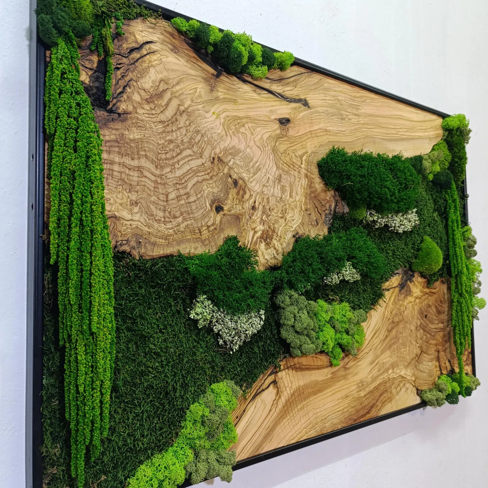 Moss and Wood Wall Art – Rustic Olive Wood Frame | Greenery Decor for Home & Office