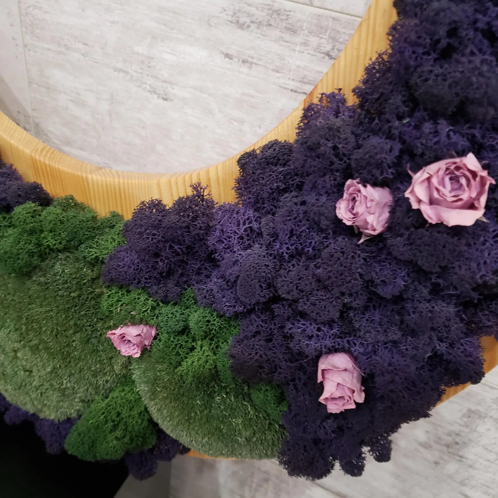 Round Live Moss and Rose Wall Art – Unique Handmade Decor on Natural Wood Base (540x540mm) – No Tariffs USA