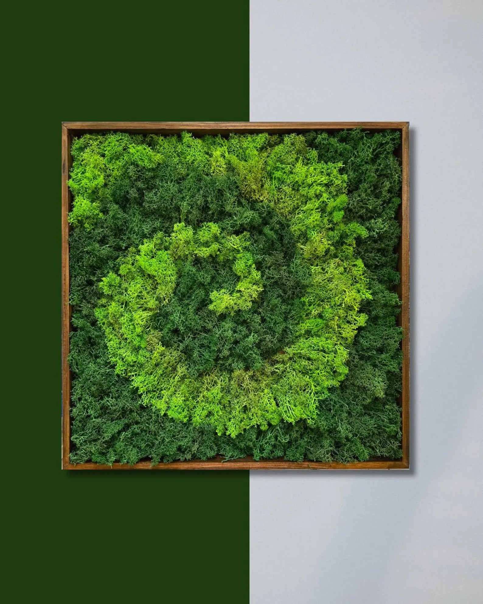 Spiral Moss Wall Art – Handmade Preserved Moss Frame, Eco-Friendly Home Decor