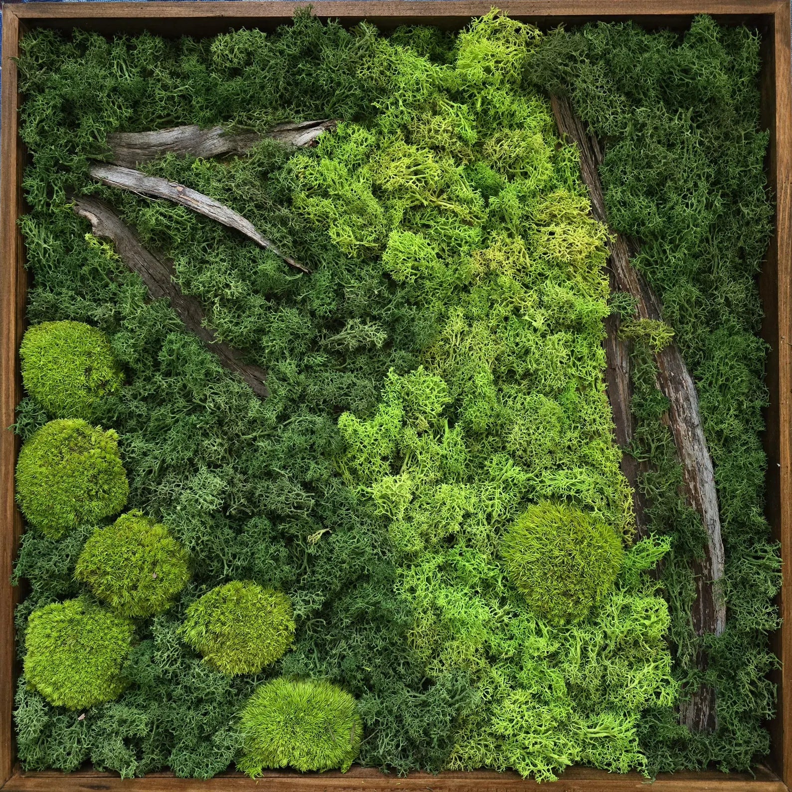 Natural Moss Wall Art – Preserved Reindeer Moss Frame | Green Plant Decor & Vertical Garden Panel