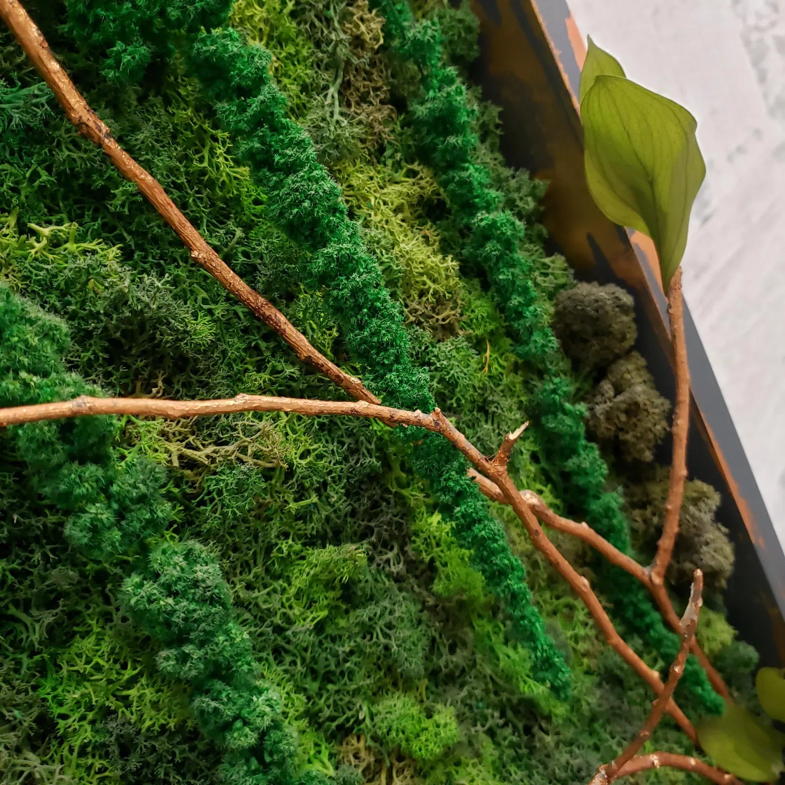 Moss Art Wall Decor – Natural Preserved Moss with Aluminum Frame