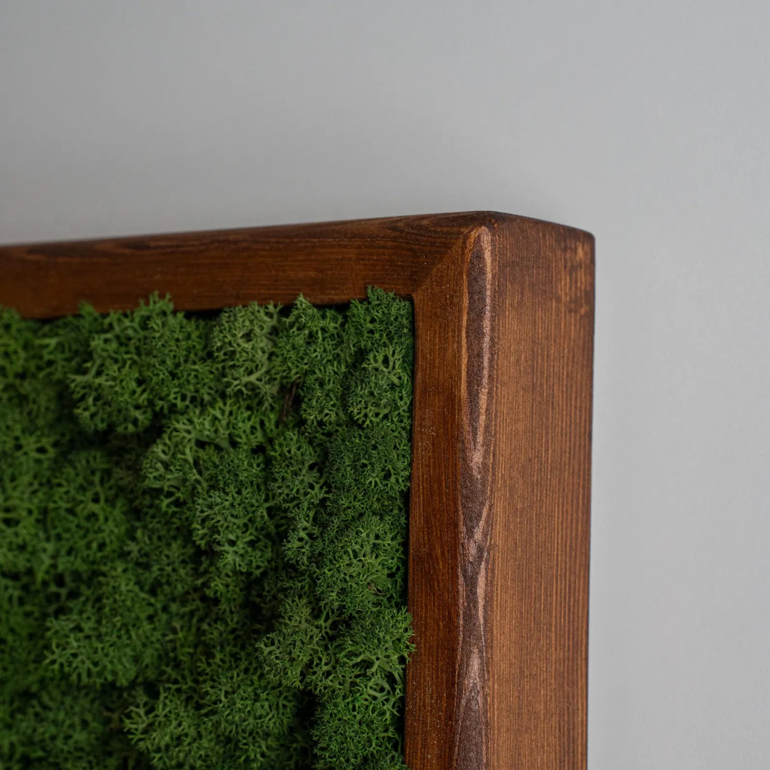 Rectangle Wood Moss Wall Art – Preserved Stabilized Moss Décor, Unique Design & Gift