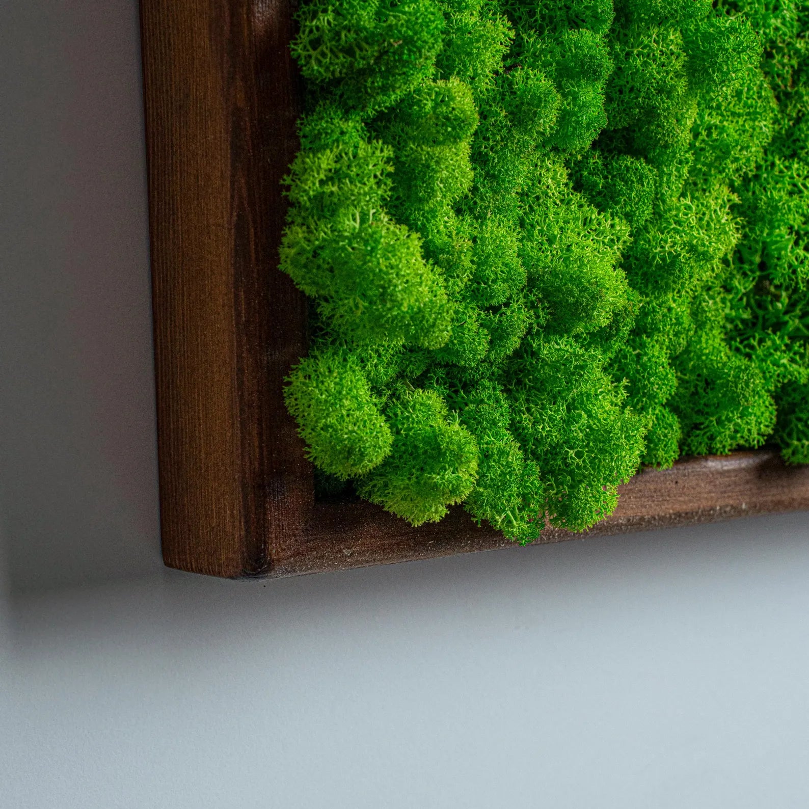 Rectangle Wood Moss Wall Art – Preserved Stabilized Moss Décor, Unique Design & Gift