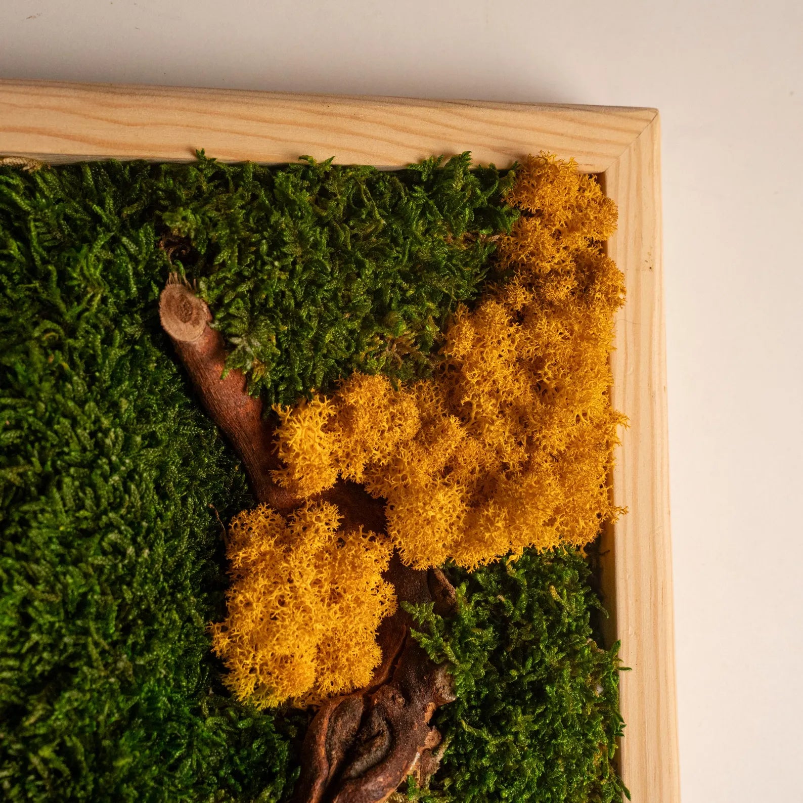 Colorful Moss and Bonsai Wood Wall Art – Vertical Wooden Frame Nature-Inspired Living Room Decor